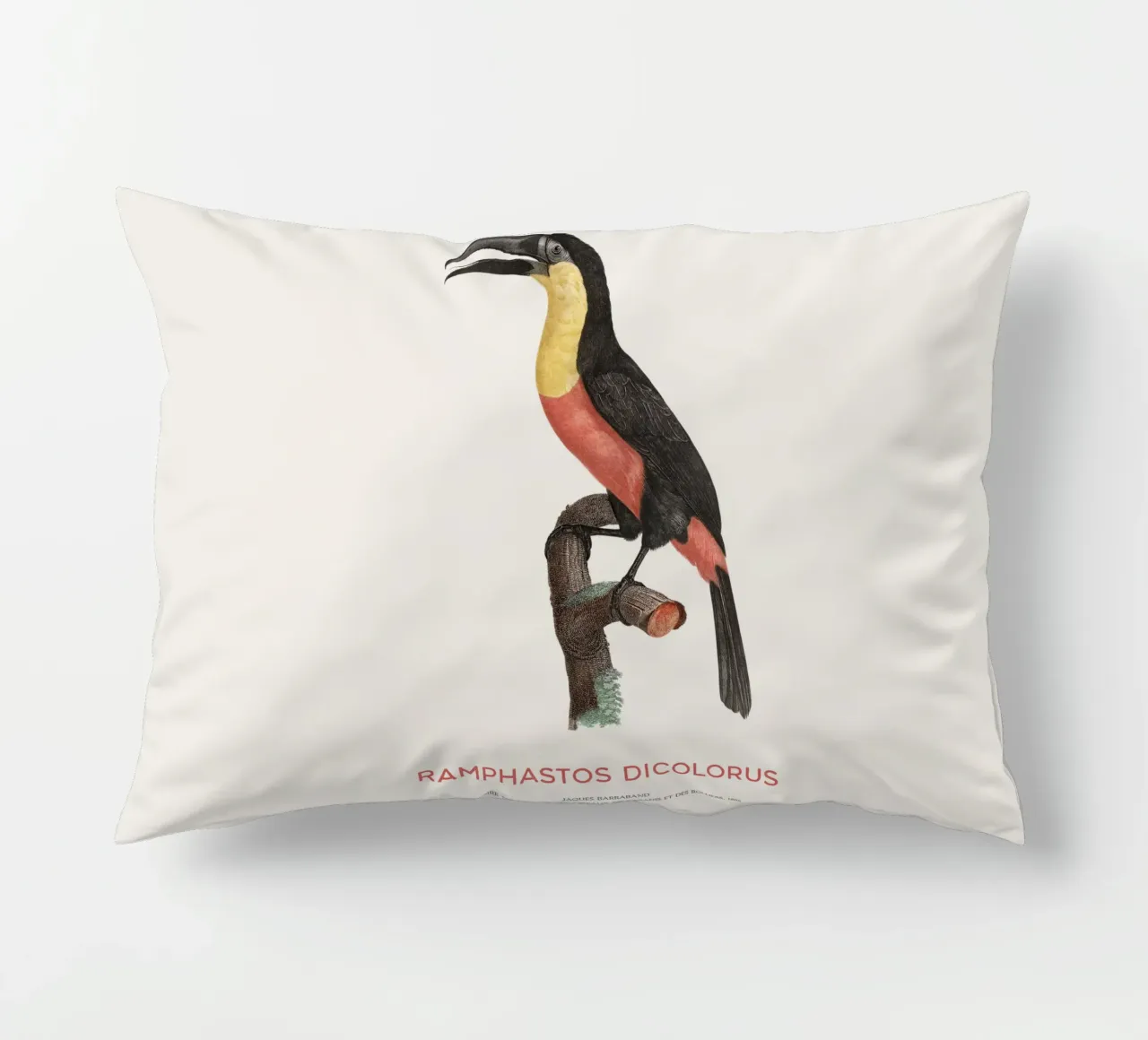 Tucano dal petto rosso o Ramphastos dicolorus cuscino da Vintagrafica