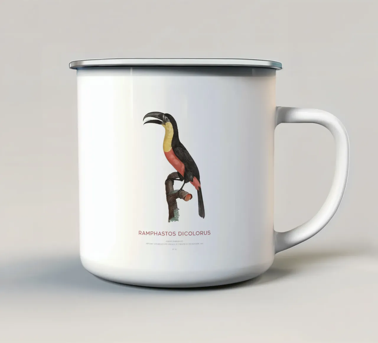 Tucano dal petto rosso o Ramphastos dicolorus tazza in smalto da Vintagrafica