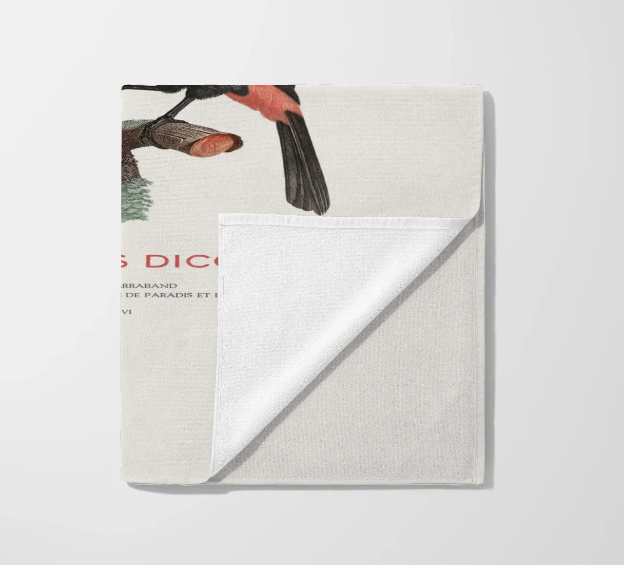 Tucano dal petto rosso o Ramphastos dicolorus telo mare da Vintagrafica