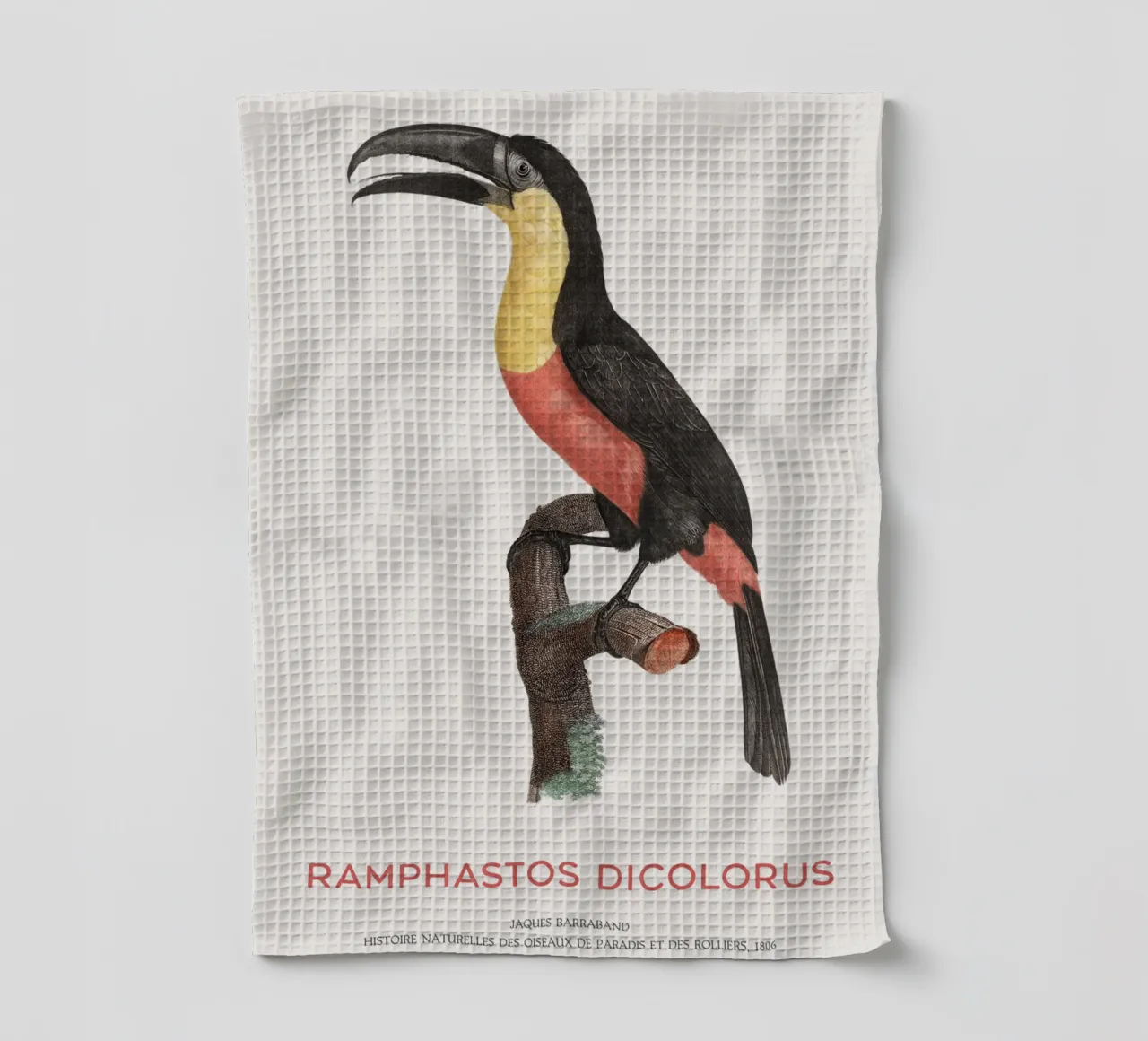 Toucan à poitrine rouge ou Ramphastos dicolorus torchon de Vintagrafica