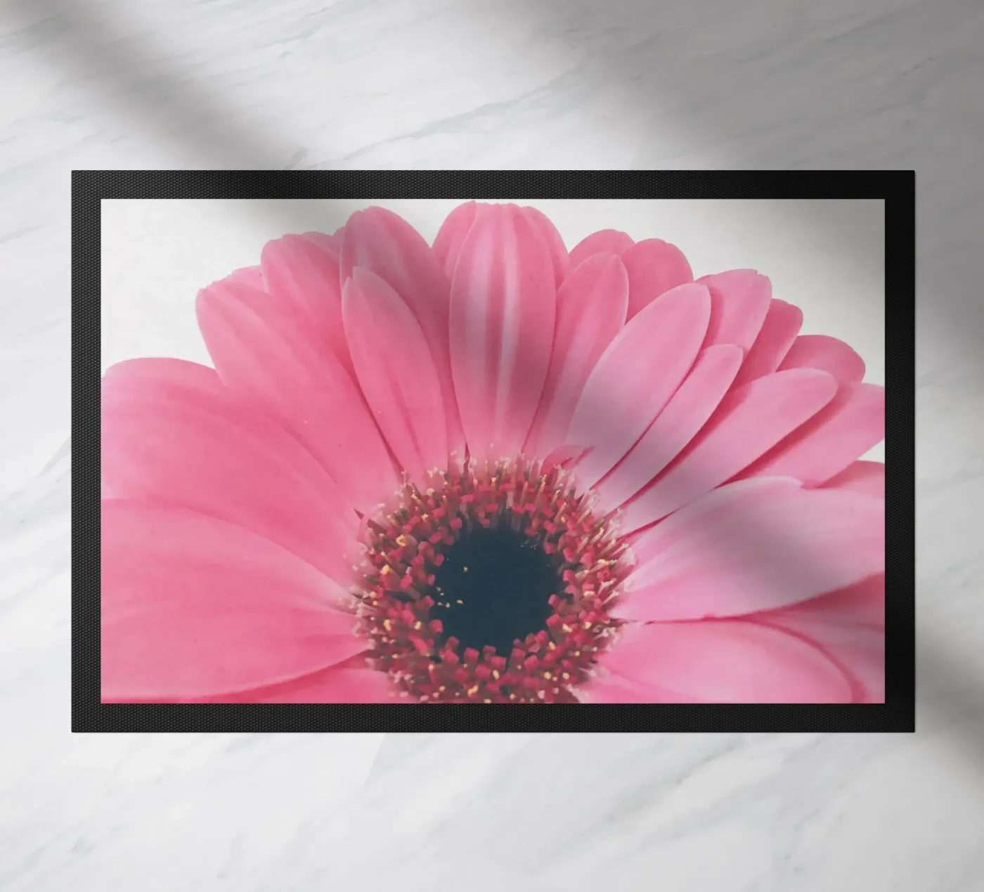 Gerbera Sunrise zerbino da Cassia Beck Photography