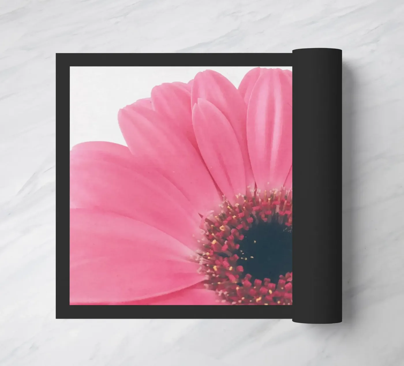 Gerbera Sunrise zerbino da Cassia Beck Photography