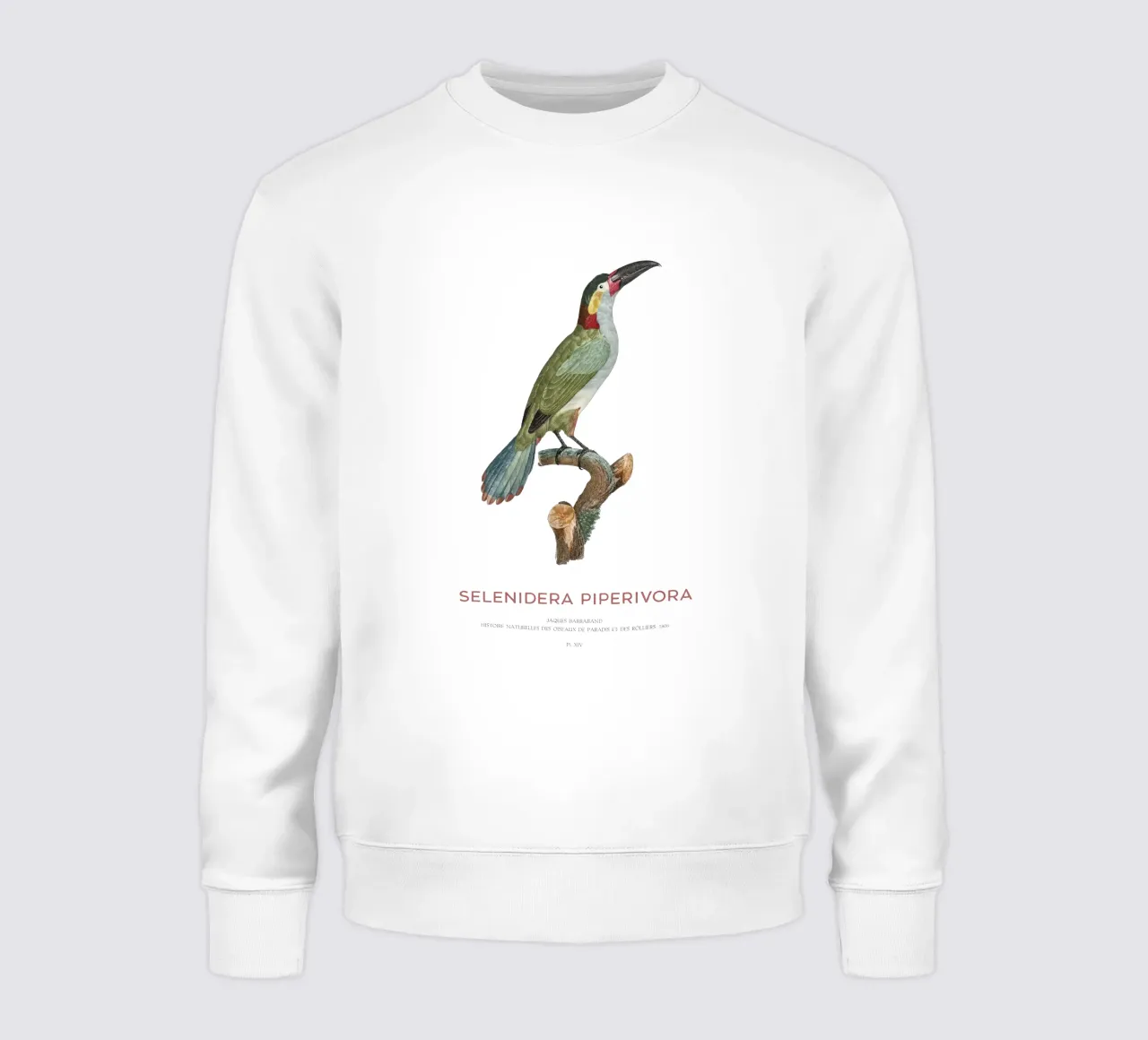 Guianatukanet oder Selenidera piperivora Sweatshirt von Vintagrafica