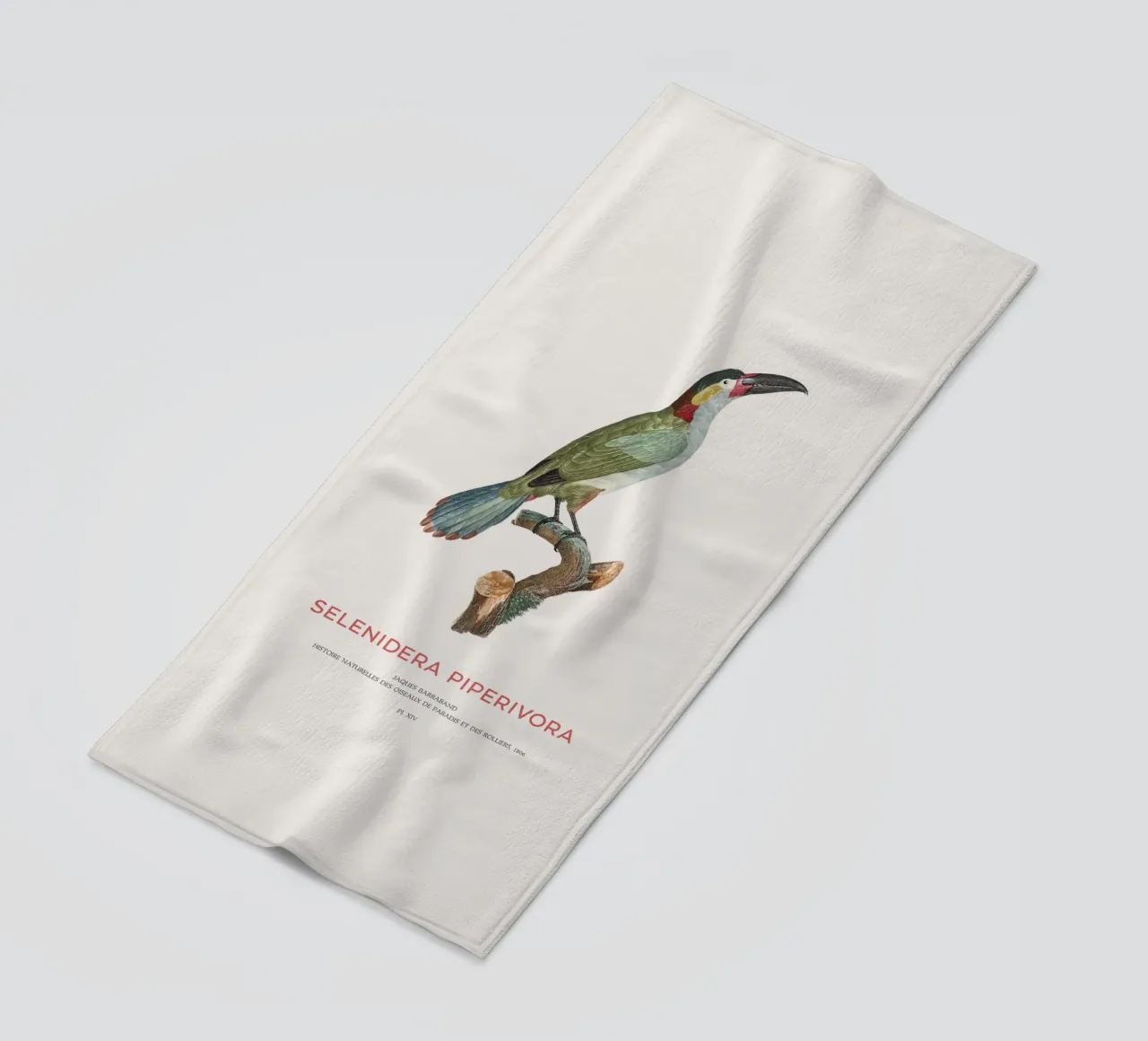 Guianatukanet oder Selenidera piperivora Strandtuch von Vintagrafica
