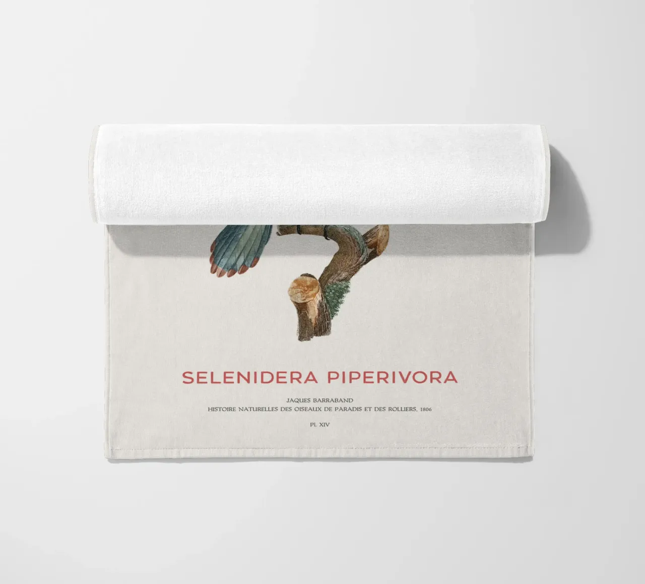 Guianatukanet oder Selenidera piperivora Strandtuch von Vintagrafica