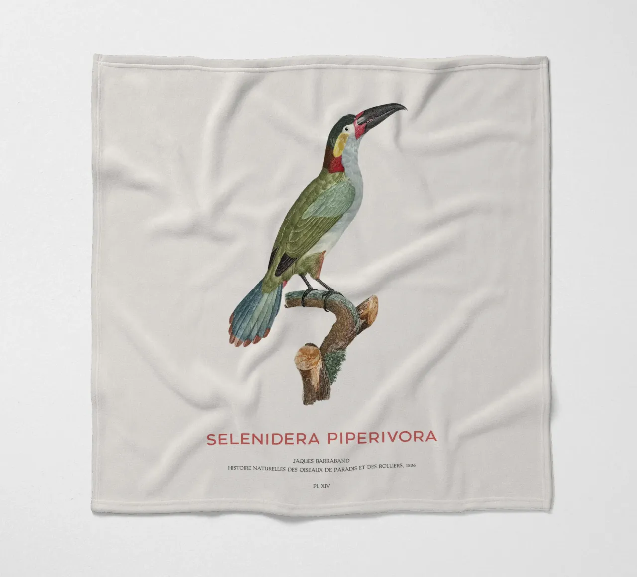 Guianatukanet oder Selenidera piperivora Fleecedecke von Vintagrafica
