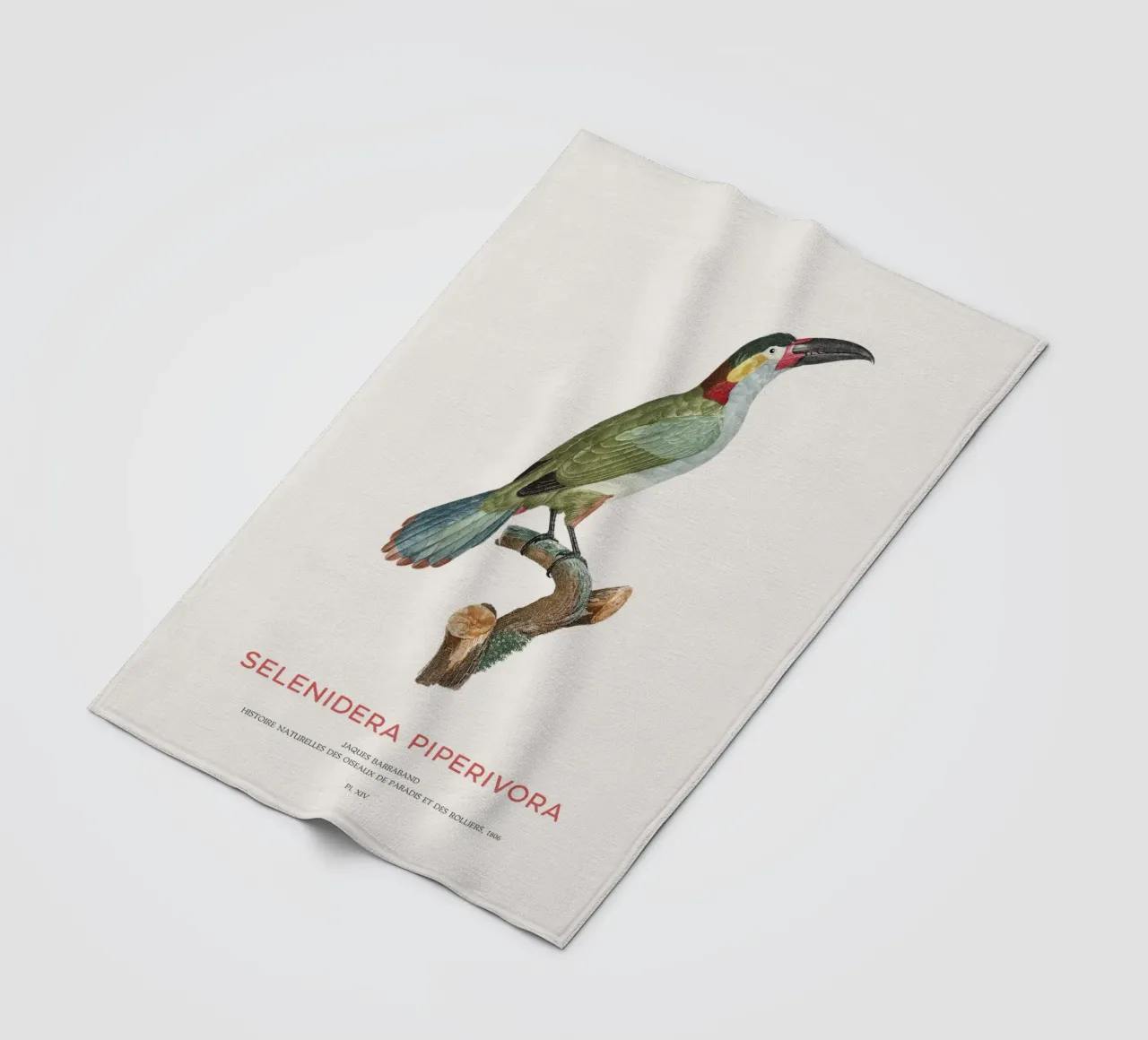 Guianatukanet oder Selenidera piperivora Fleecedecke von Vintagrafica