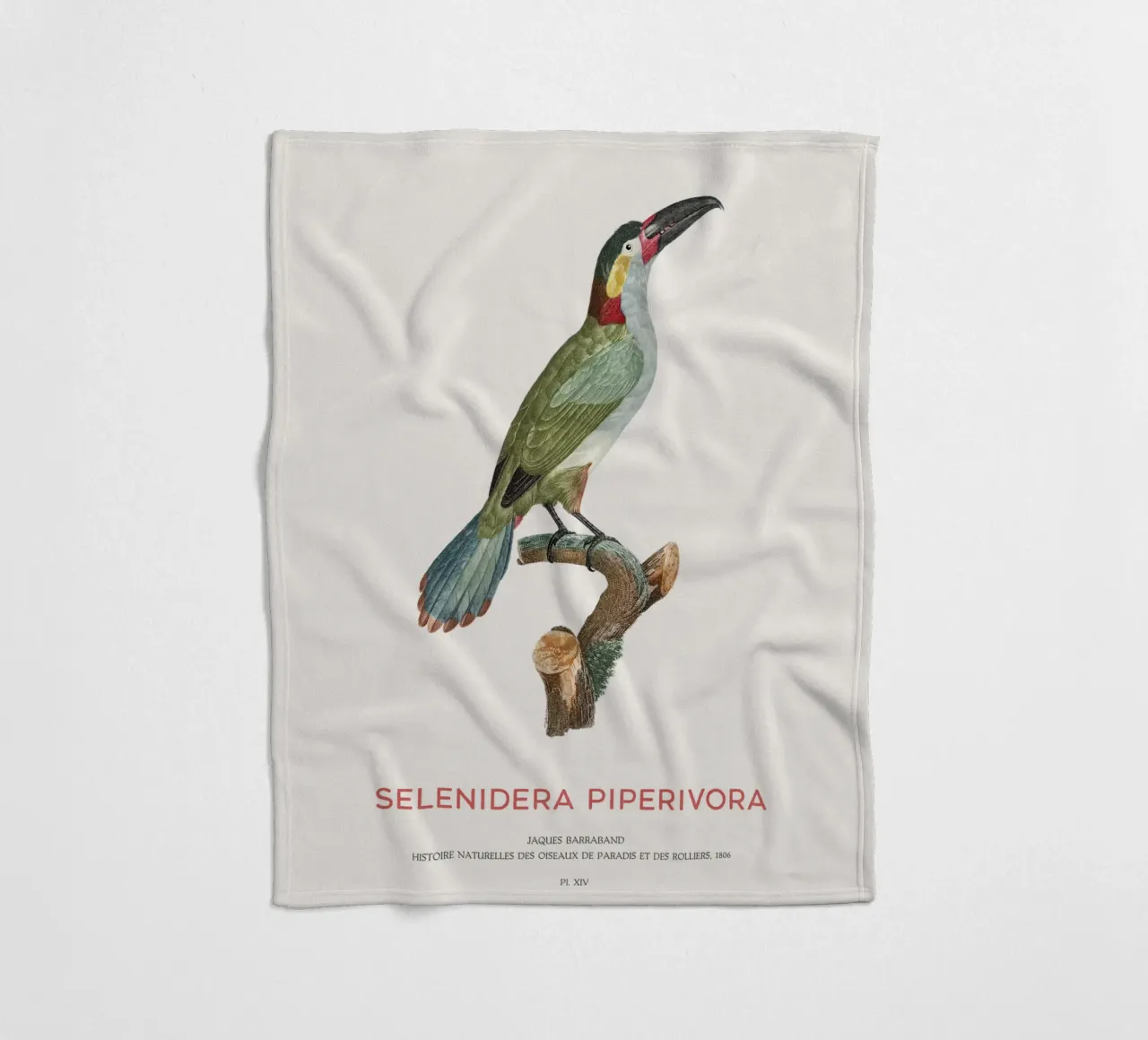 Guianatukanet oder Selenidera piperivora Fleecedecke von Vintagrafica