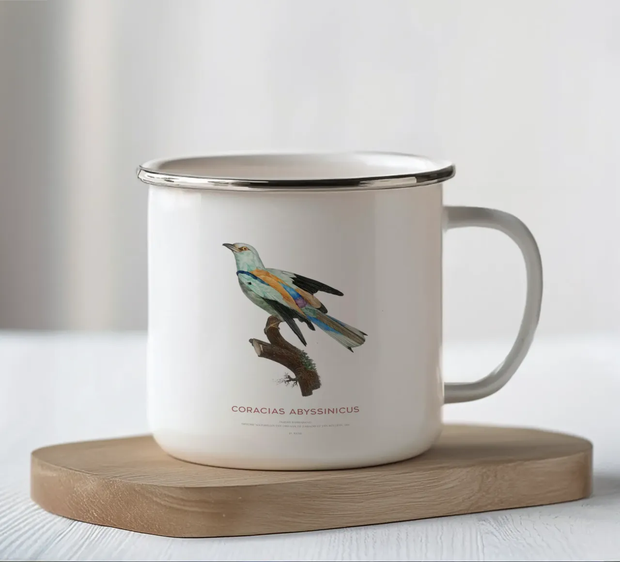 Rullo abissino o Coracias abyssinicus tazza in smalto da Vintagrafica