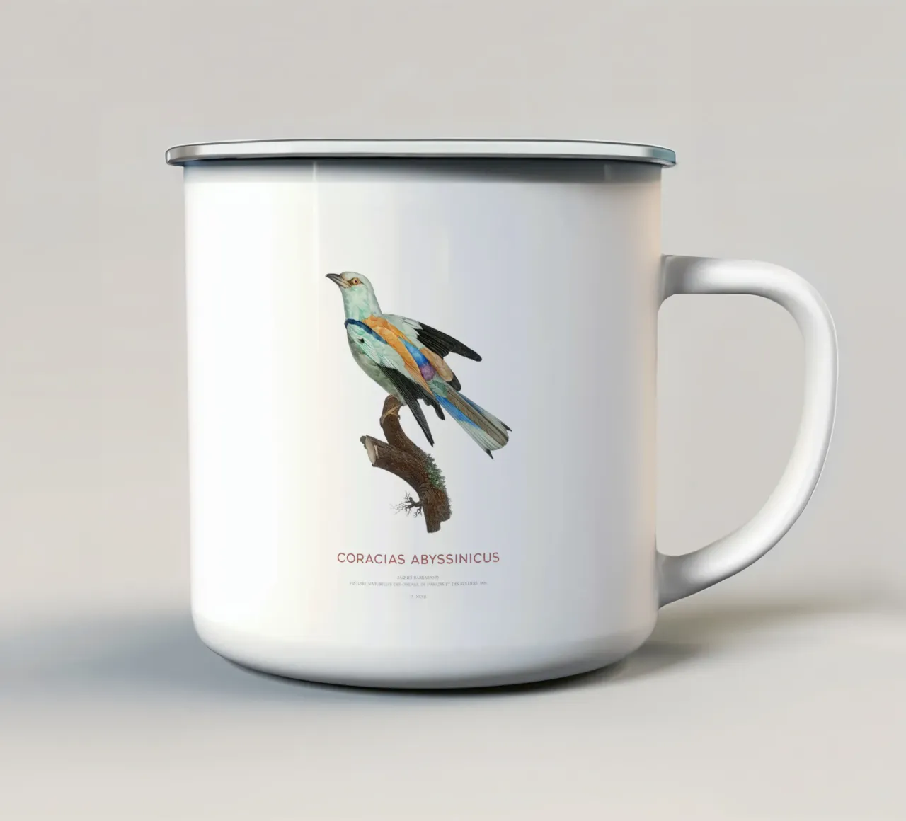 Rullo abissino o Coracias abyssinicus tazza in smalto da Vintagrafica