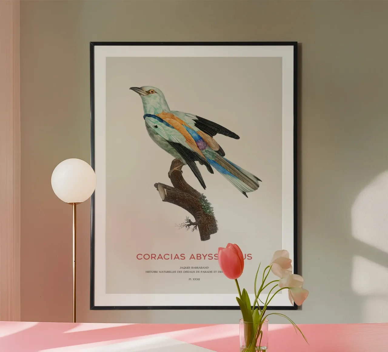 Abessinierwalze oder Coracias abyssinicus Hahnemühle von Vintagrafica