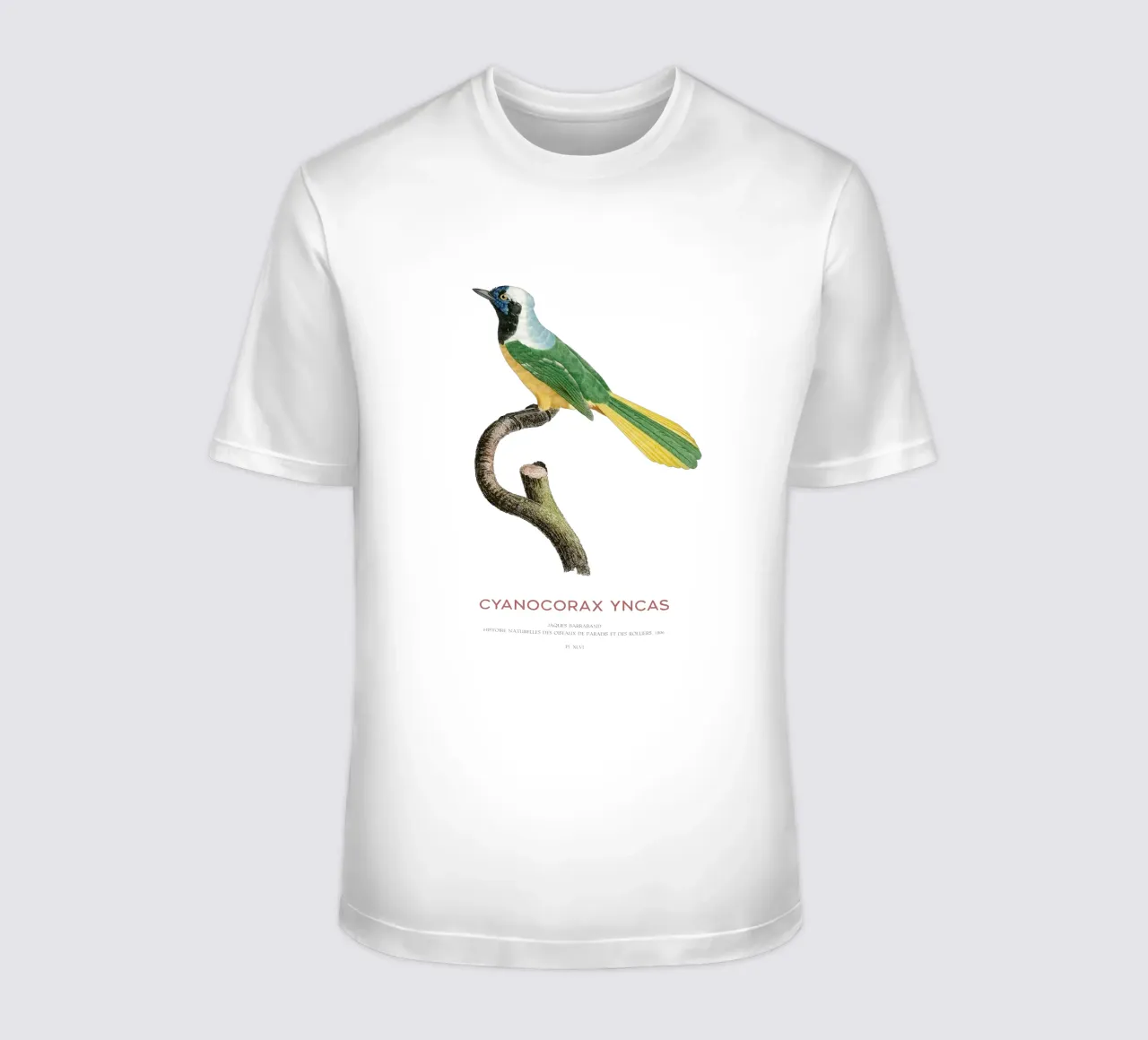 Ghiandaia Inca o Cyanocorax yncas t-shirt da Vintagrafica