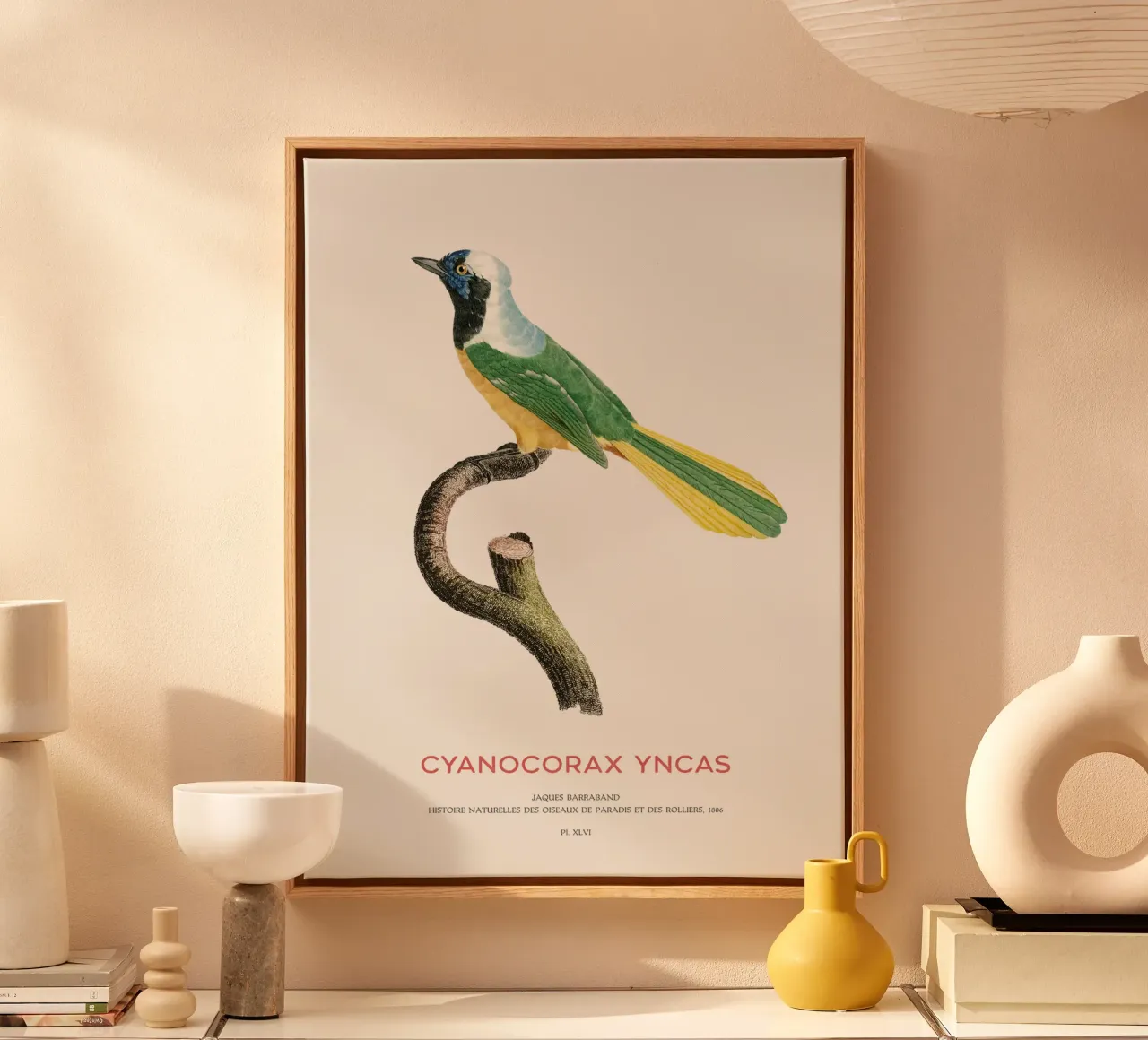 Inca gaai of Cyanocorax yncas canvas van Vintagrafica