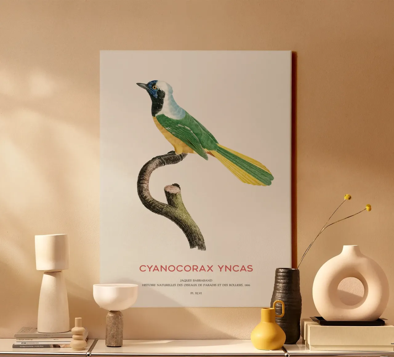 Inca gaai of Cyanocorax yncas canvas van Vintagrafica