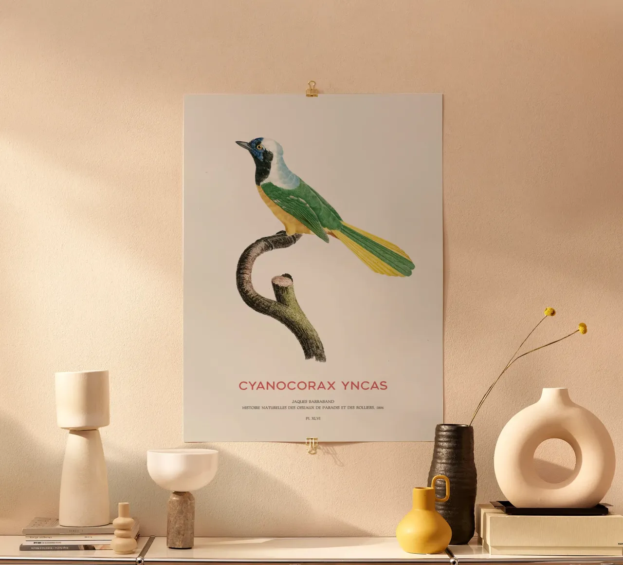 Inka-Häher oder Cyanocorax yncas Hahnemühle von Vintagrafica