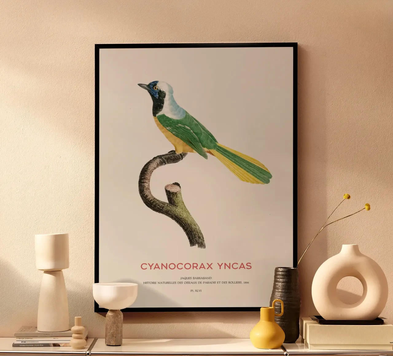 Inka-Häher oder Cyanocorax yncas Hahnemühle von Vintagrafica