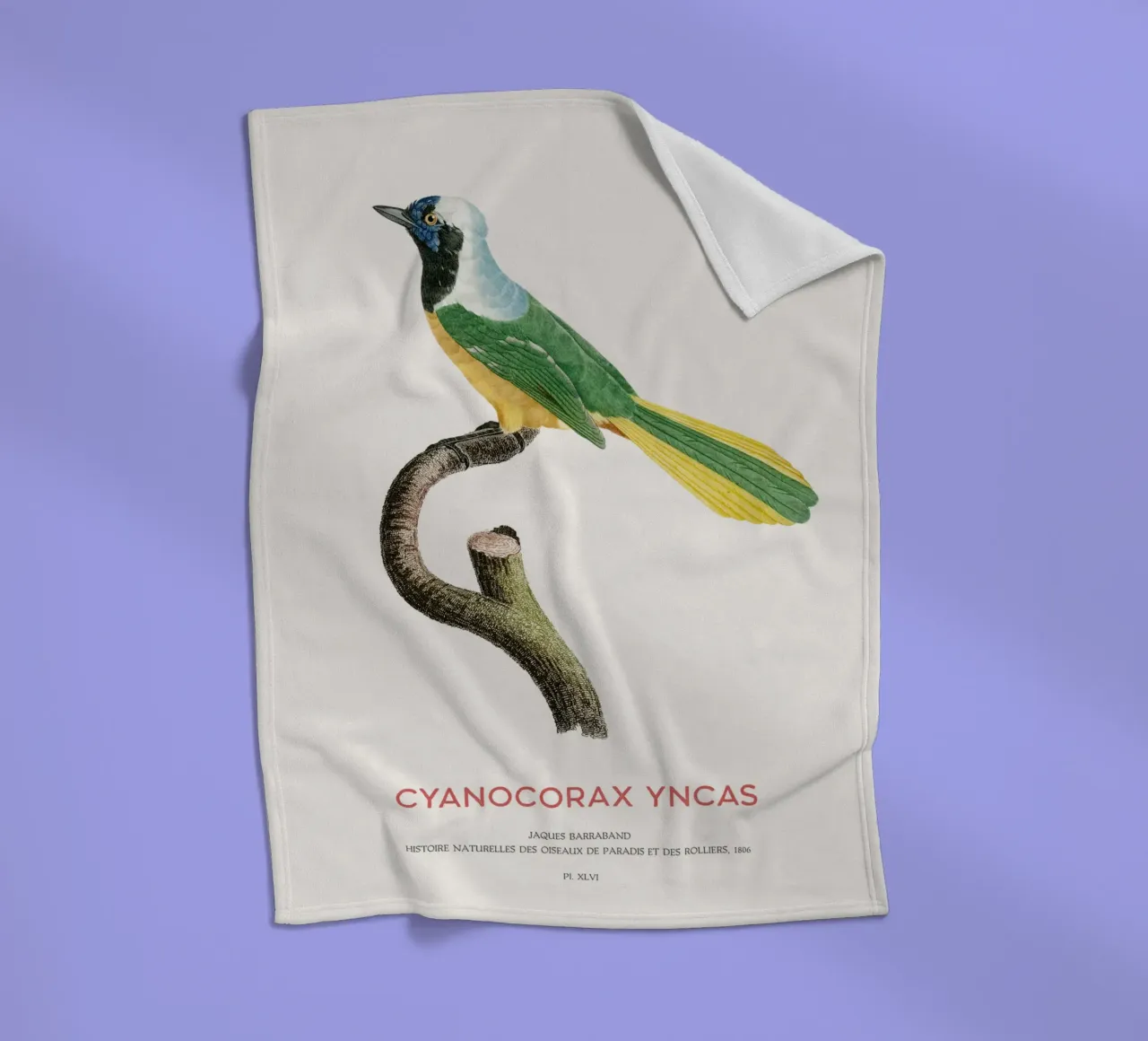 Inca gaai of Cyanocorax yncas fleecedeken van Vintagrafica