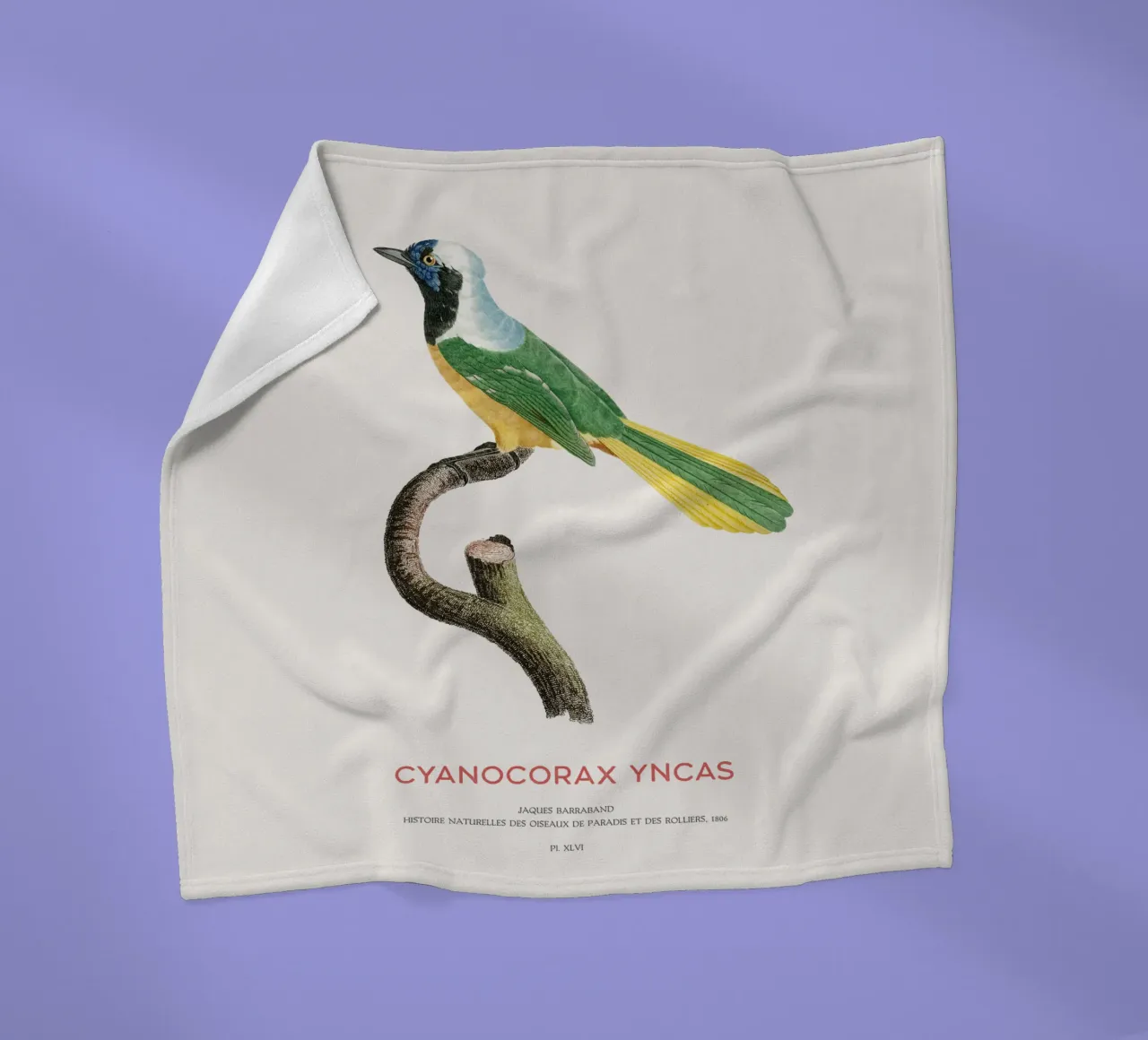 Inca gaai of Cyanocorax yncas fleecedeken van Vintagrafica