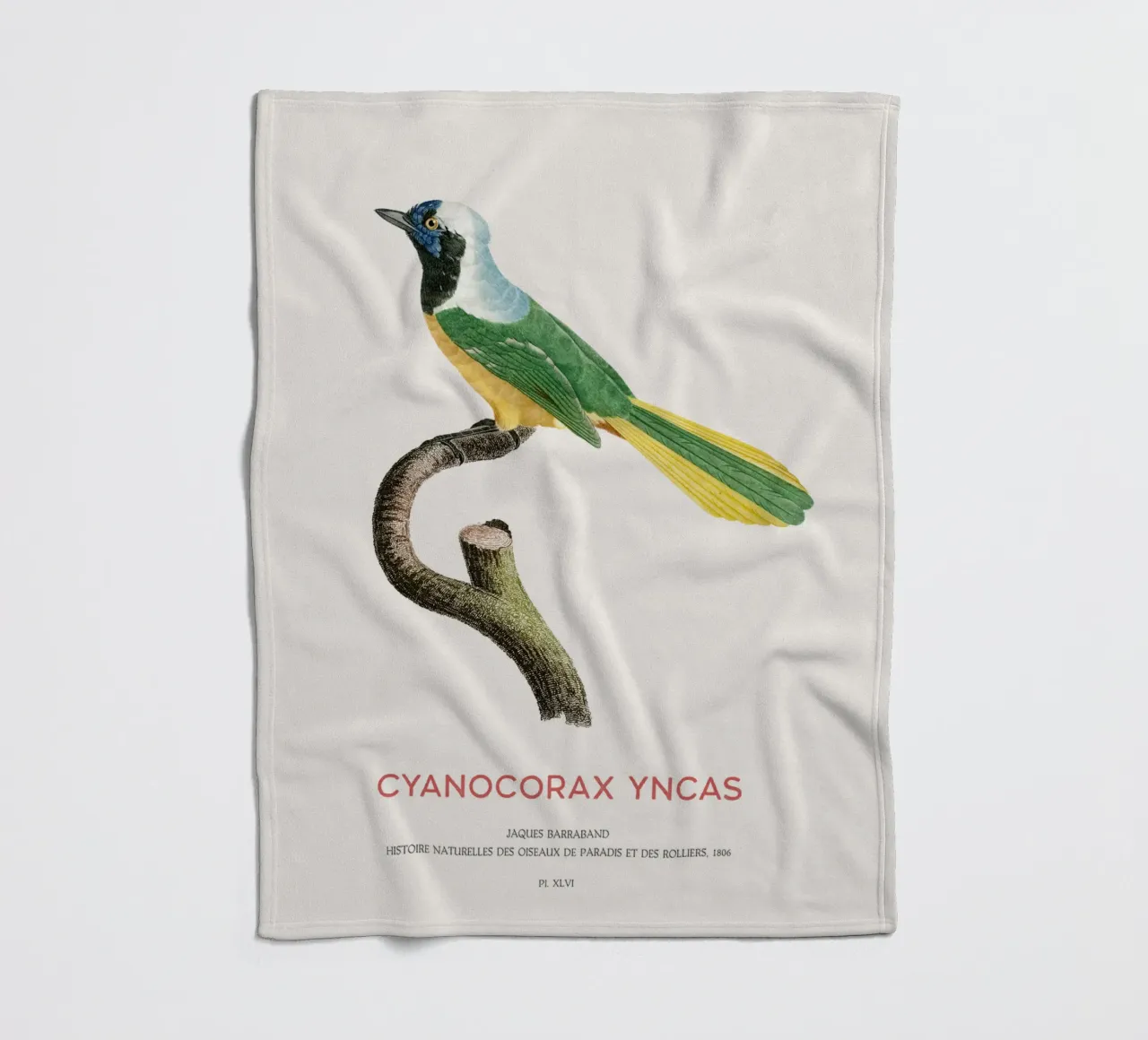 Inca gaai of Cyanocorax yncas fleecedeken van Vintagrafica