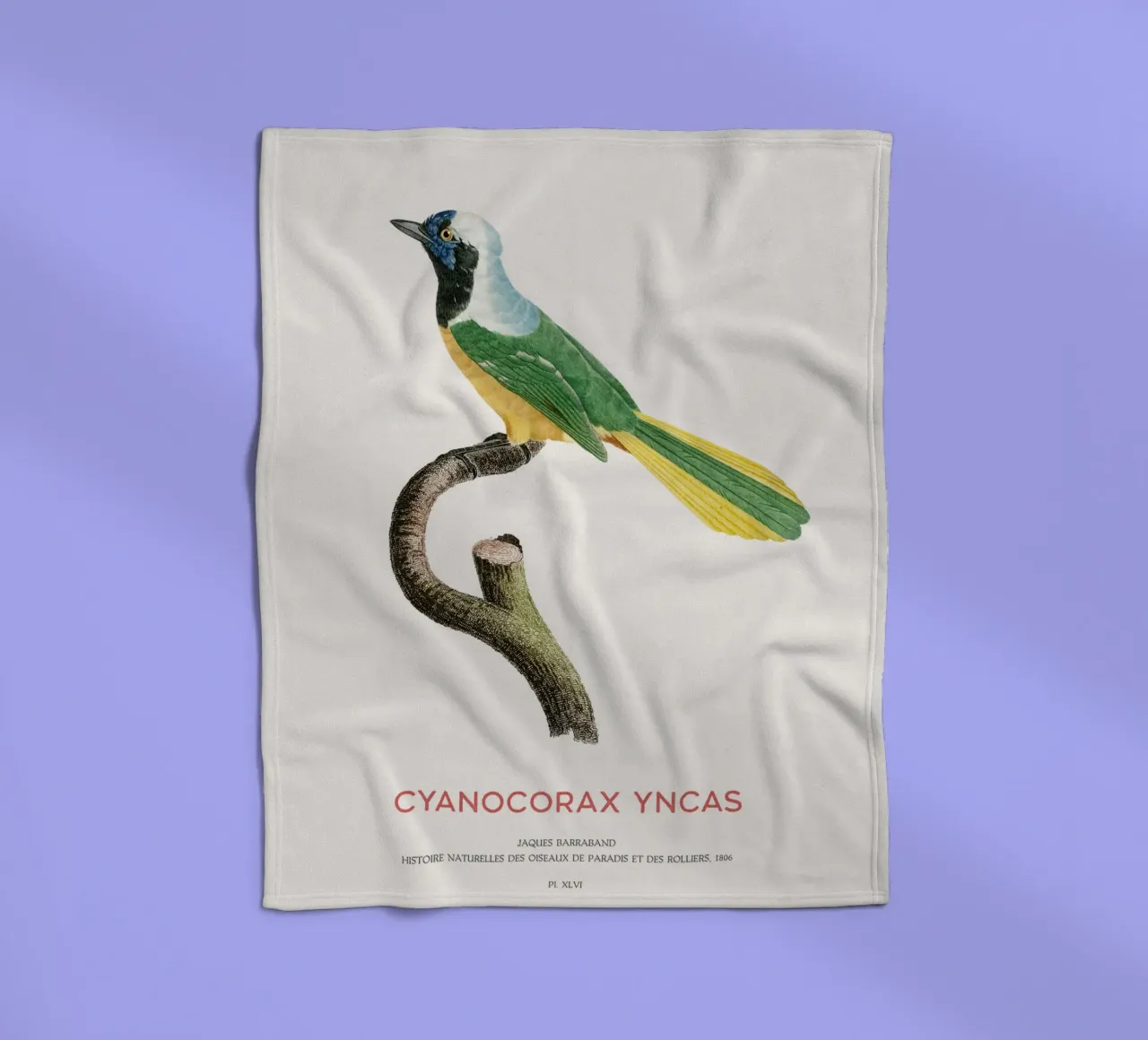 Inca gaai of Cyanocorax yncas fleecedeken van Vintagrafica