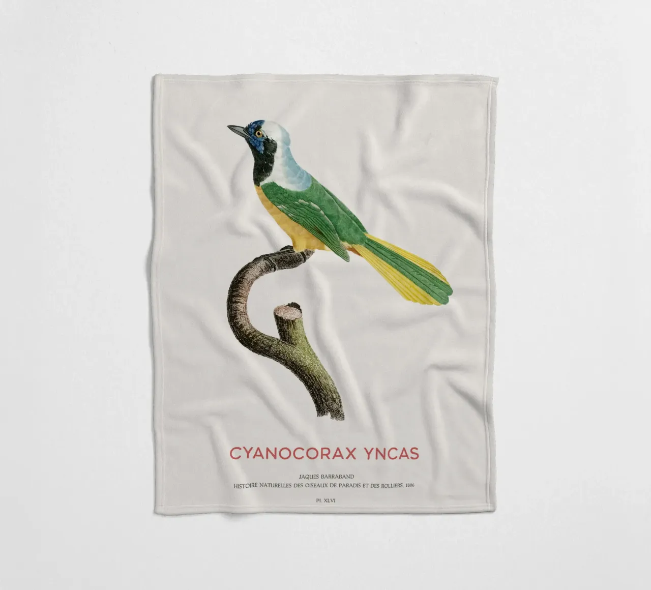 Inca gaai of Cyanocorax yncas fleecedeken van Vintagrafica