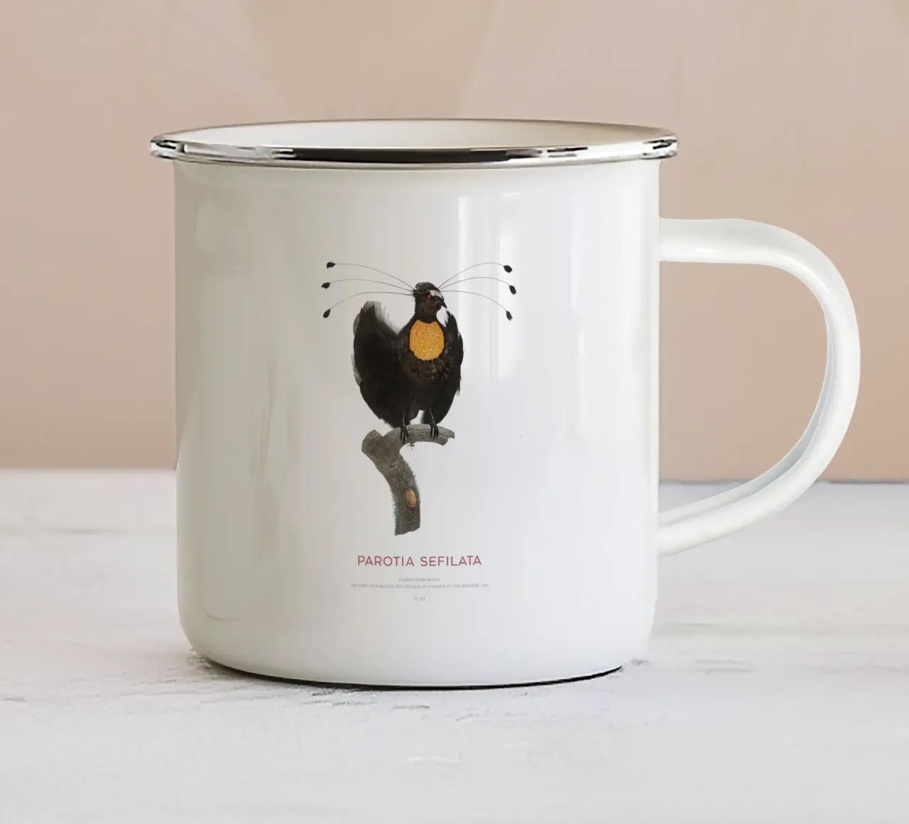 Parotia occidentale o Parotia sefilata tazza in smalto da Vintagrafica