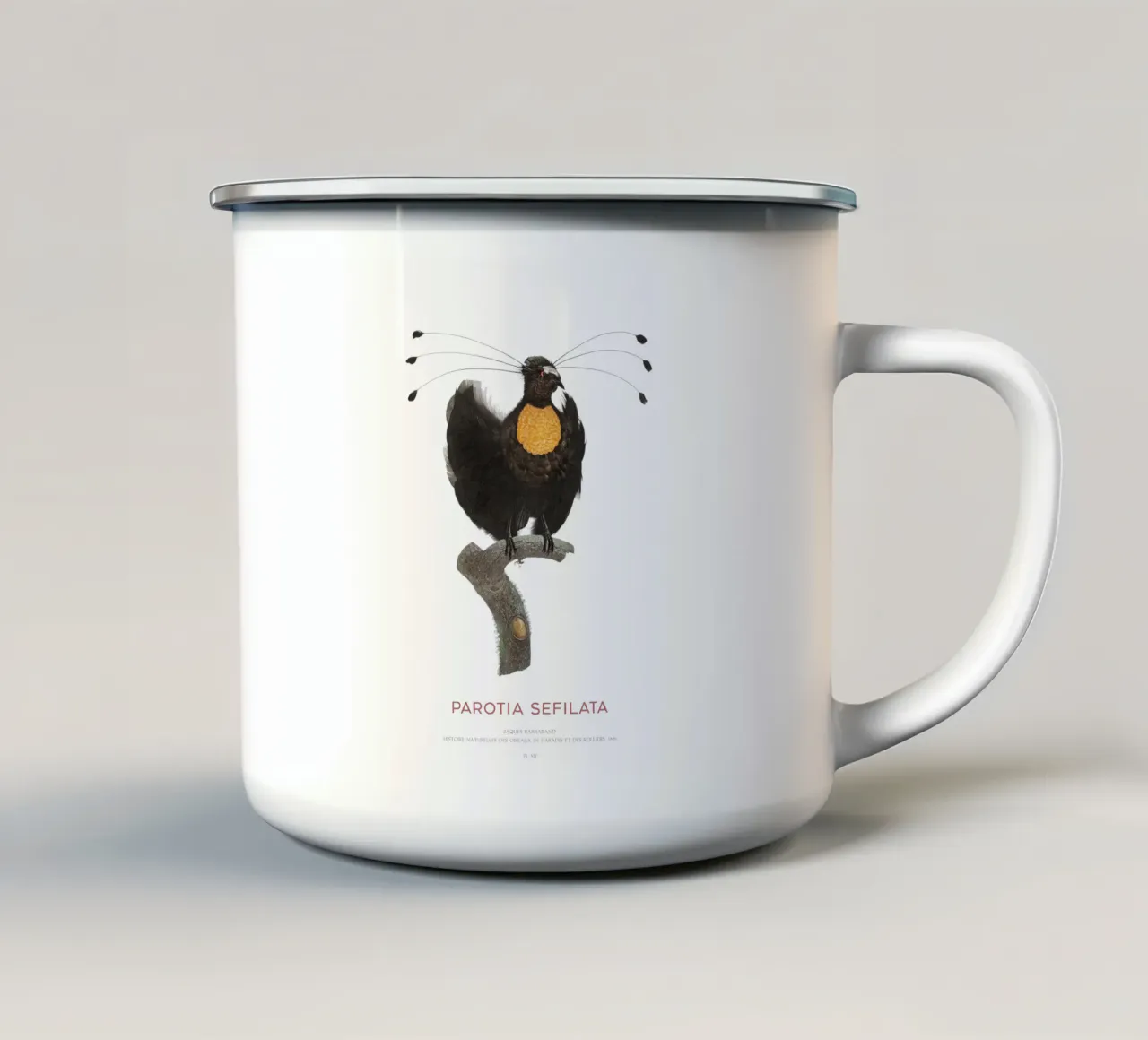 Parotia occidentale o Parotia sefilata tazza in smalto da Vintagrafica