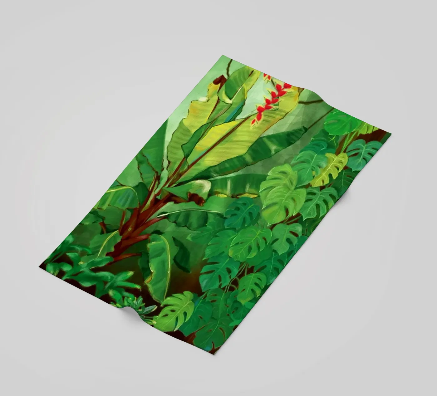 Jungle 2 telo mare da Klo~