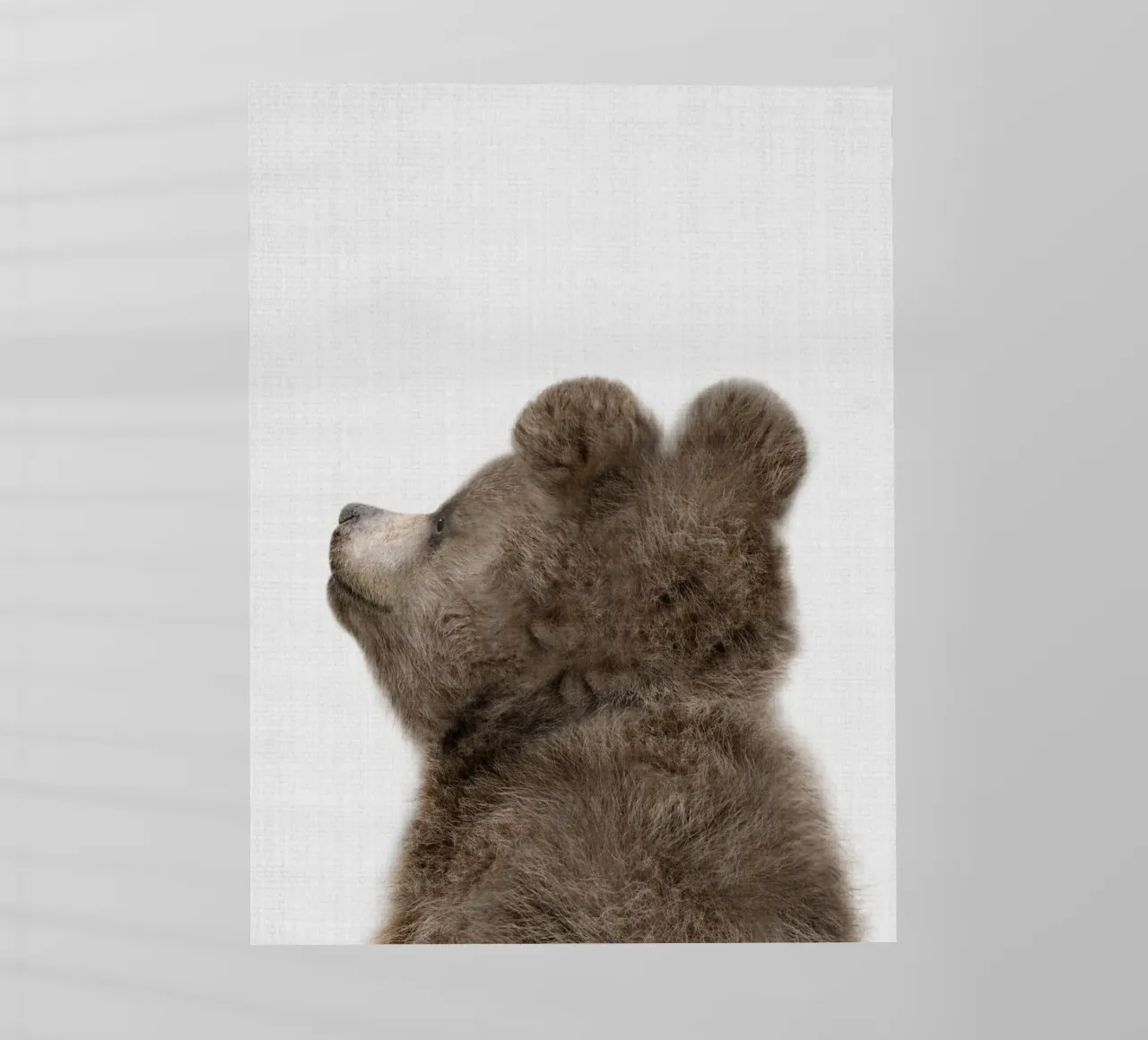 Peekaboo Bear Cub pellicola backlit da Lila x Lola
