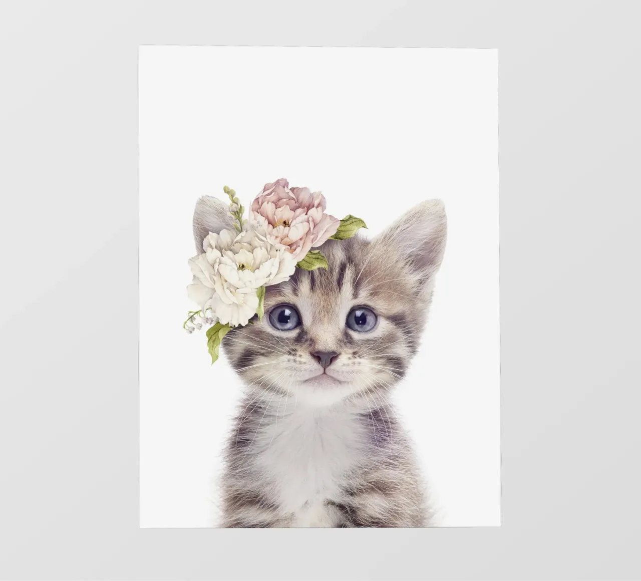 Floral Kitten pellicola backlit da Lila x Lola