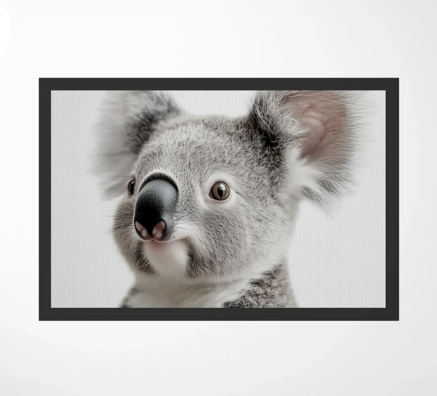 Ben simpatico koala zerbino da Carinaprint