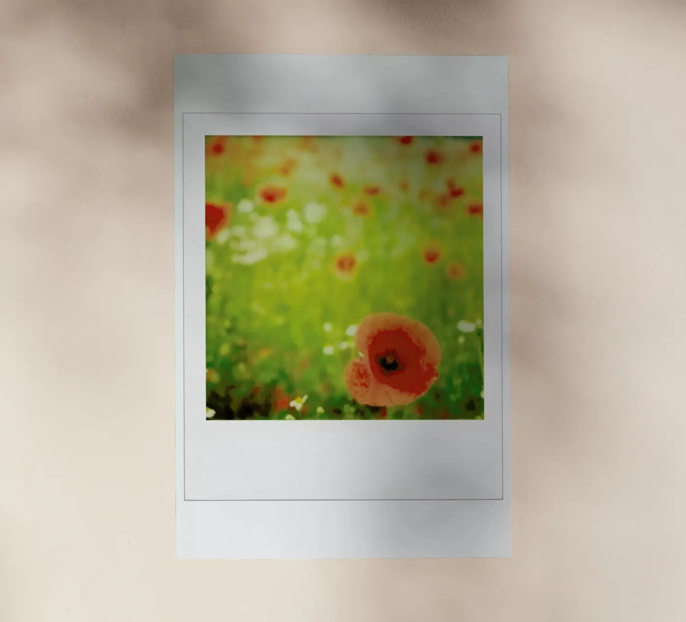 Pivot rouge pellicola backlit da Lou Garoup