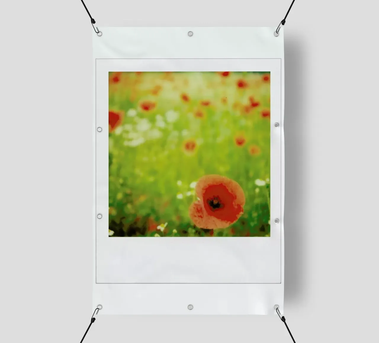 Pivot rouge telo in pvc da Lou Garoup