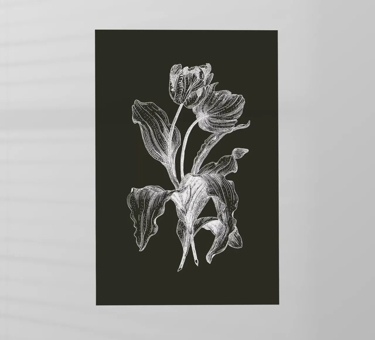 Tulips - White on Grey Backlit Folie von Pen & Ink