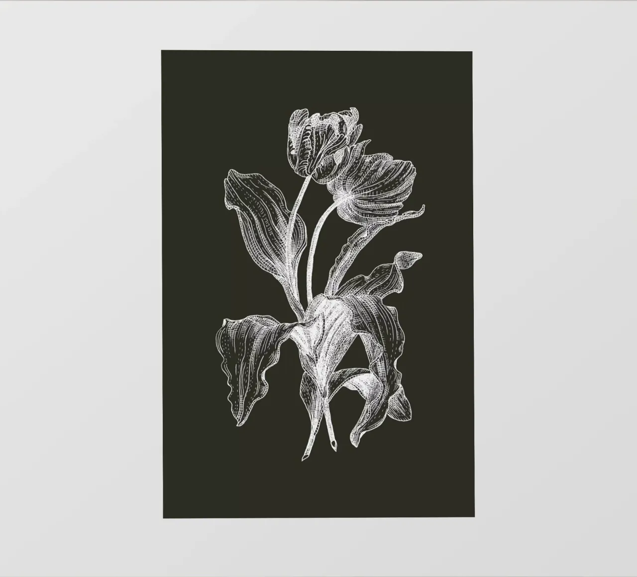 Tulips - White on Grey Backlit Folie von Pen & Ink