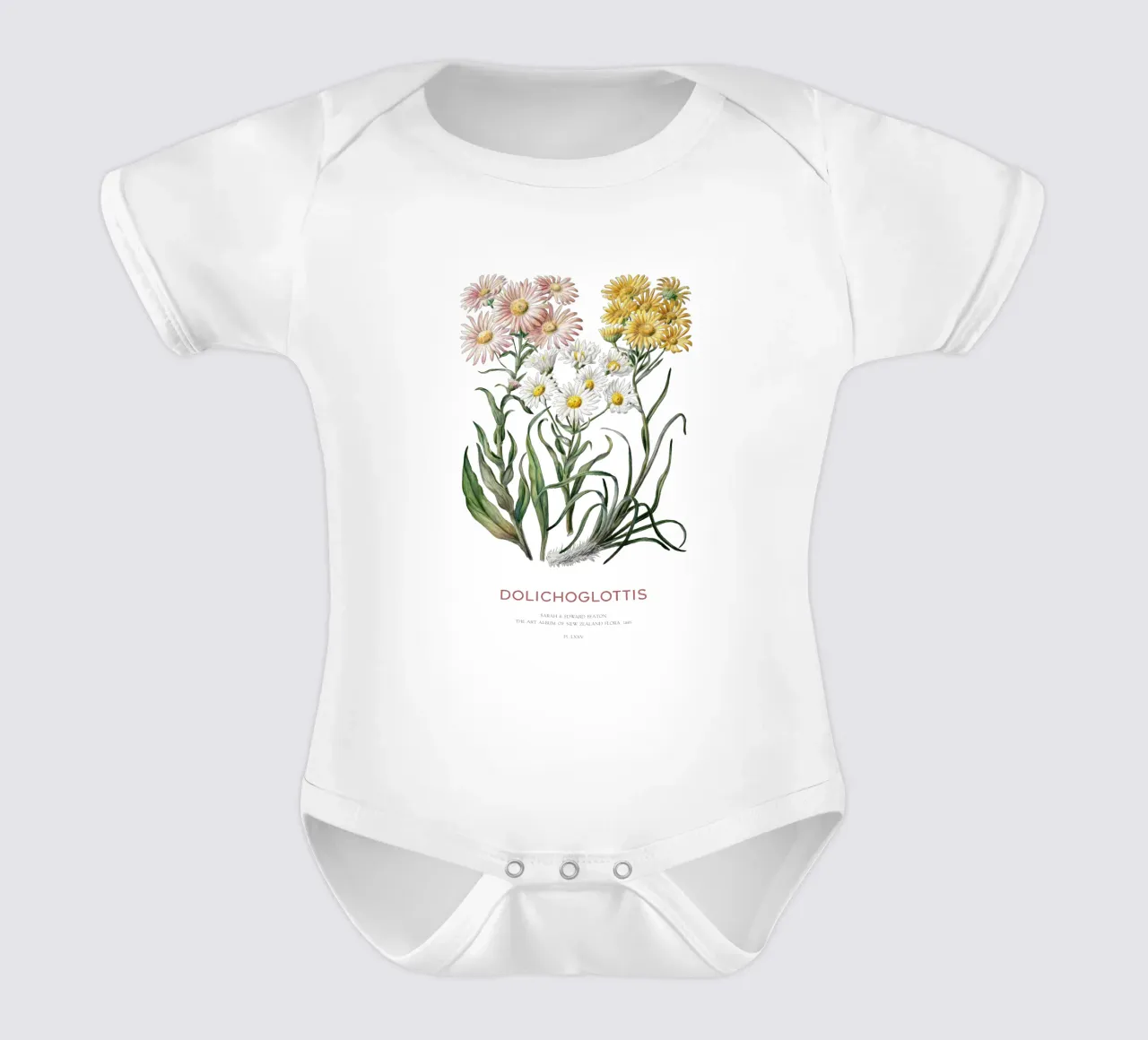 Dolichoglottis - Piante in fiore della famiglia delle margherite body neonato maniche corte da Vintagrafica