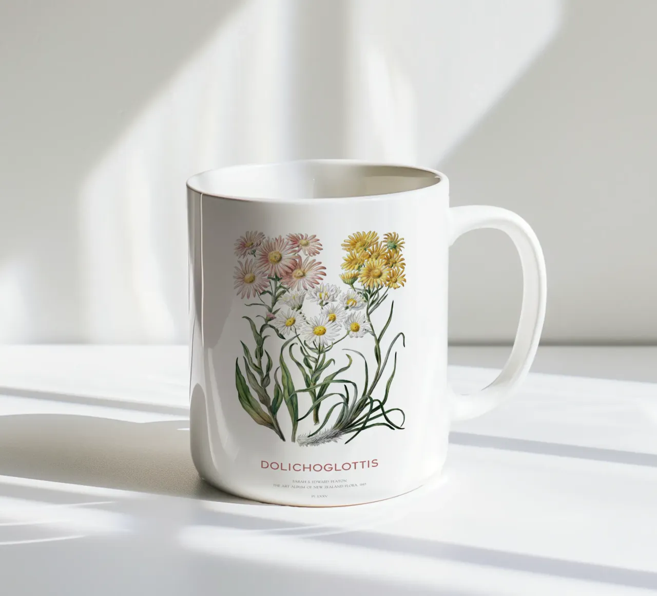 Dolichoglottis - Piante in fiore della famiglia delle margherite tazza in ceramica da Vintagrafica
