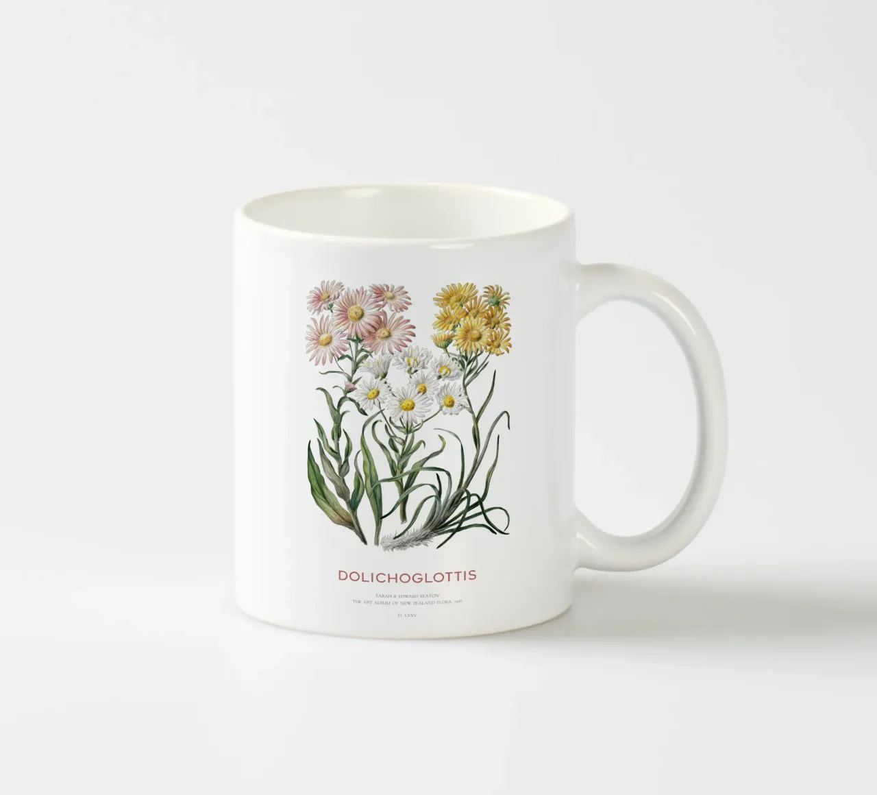 Dolichoglottis - Piante in fiore della famiglia delle margherite tazza in ceramica da Vintagrafica