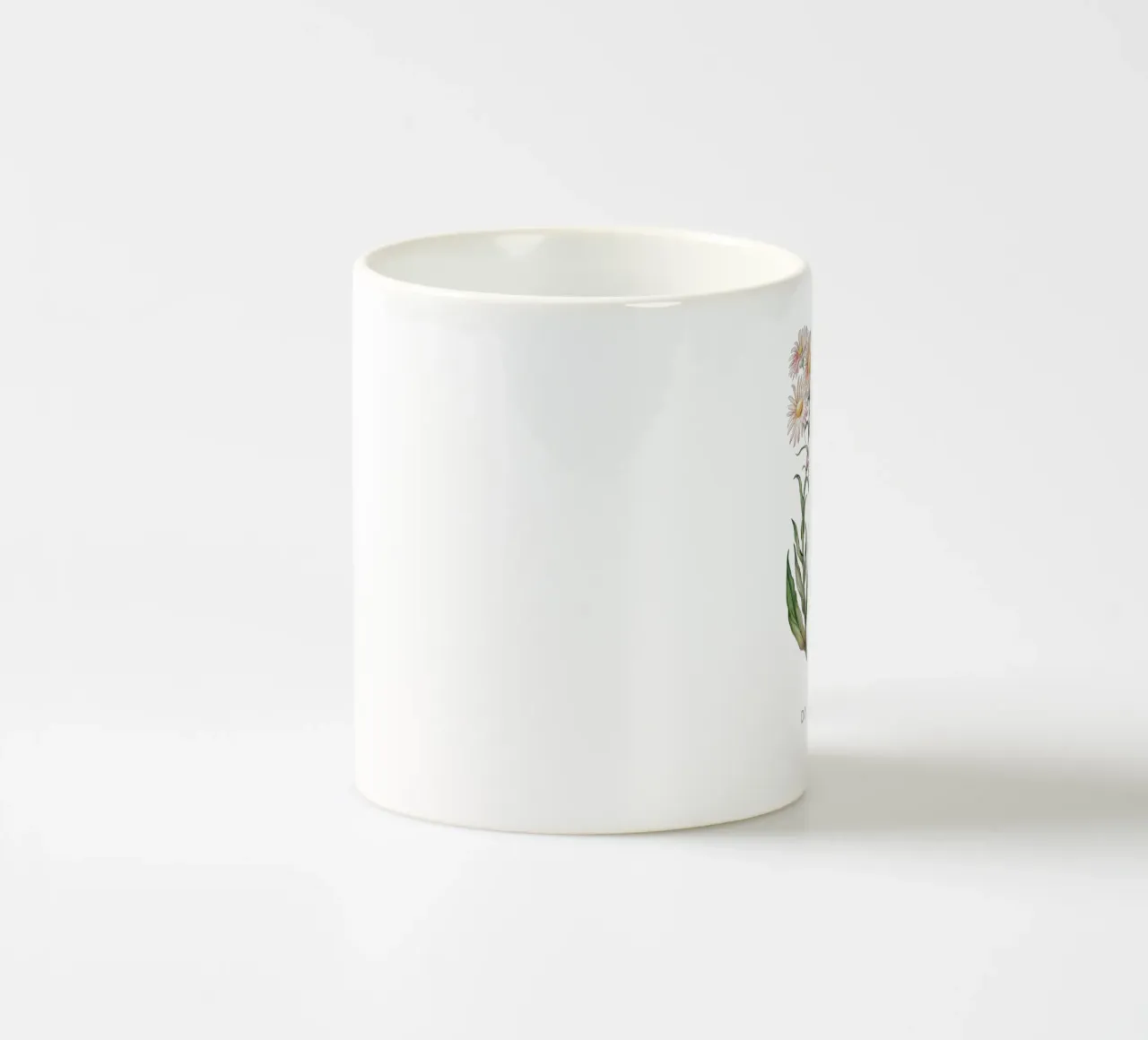 Dolichoglottis - Piante in fiore della famiglia delle margherite tazza in ceramica da Vintagrafica