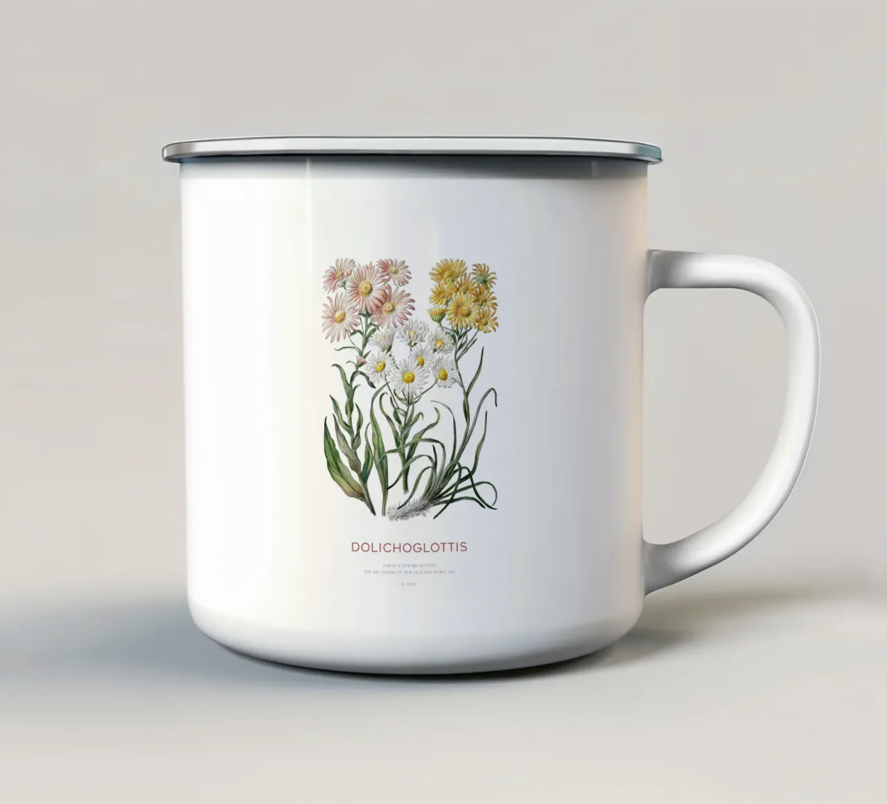 Dolichoglottis - Piante in fiore della famiglia delle margherite tazza in smalto da Vintagrafica