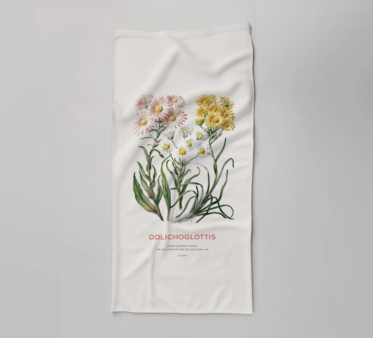 Dolichoglottis - Piante in fiore della famiglia delle margherite asciugamano da bagno da Vintagrafica