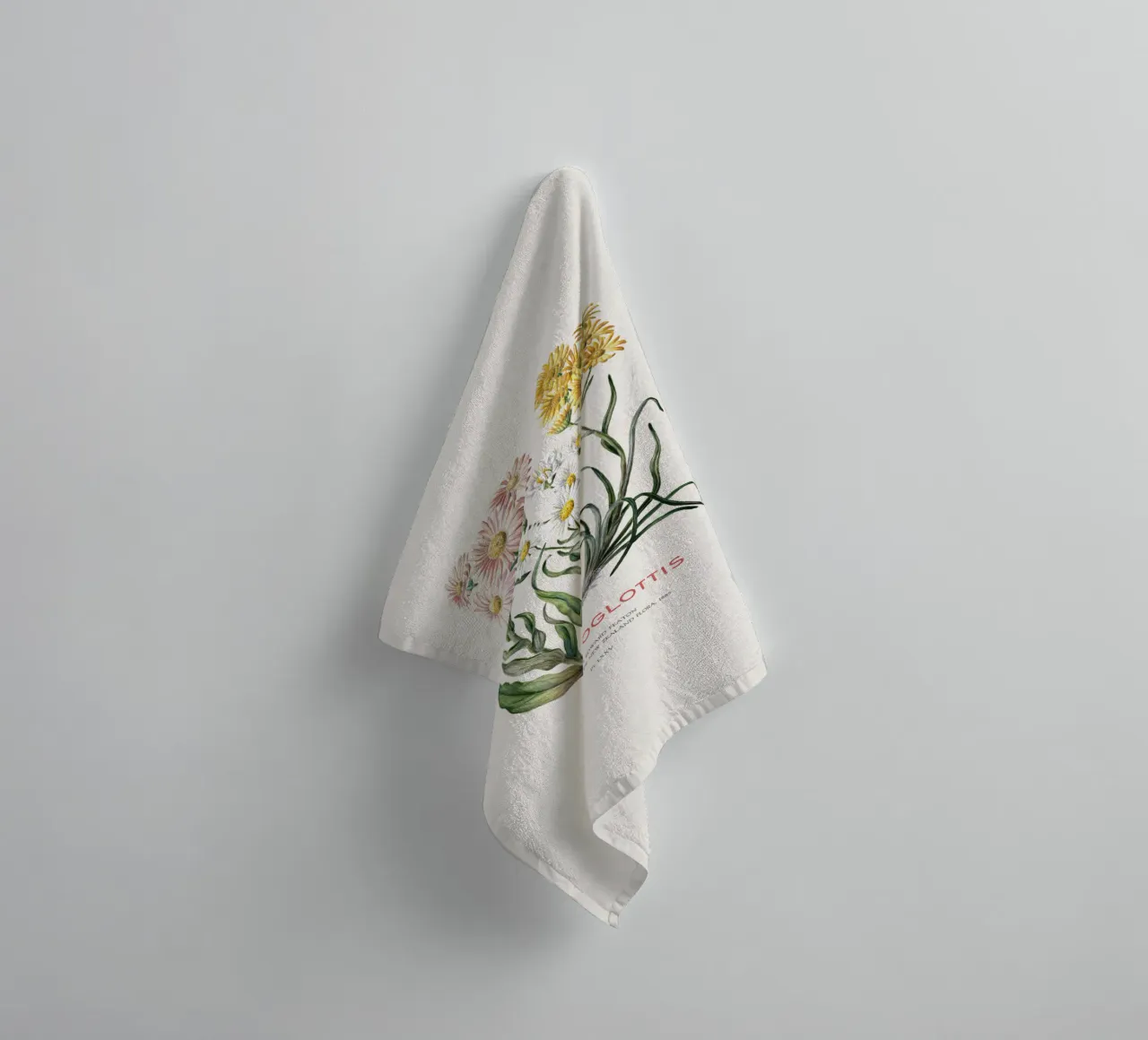 Dolichoglottis - Piante in fiore della famiglia delle margherite asciugamano da bagno da Vintagrafica