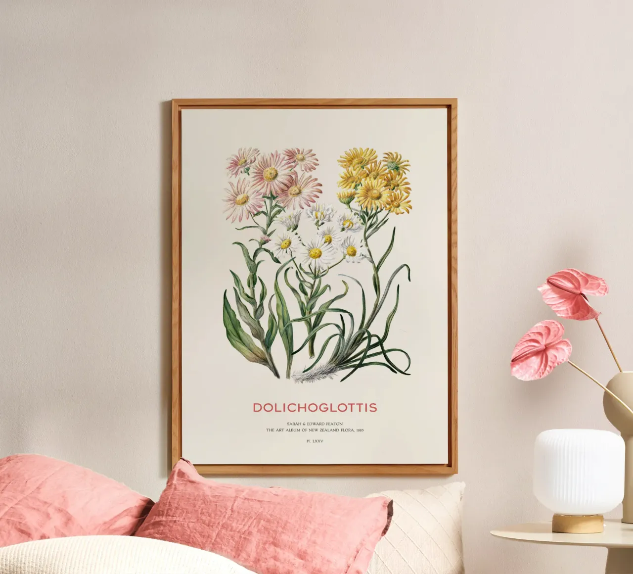 Dolichoglottis - Piante in fiore della famiglia delle margherite alluminio dibond da Vintagrafica