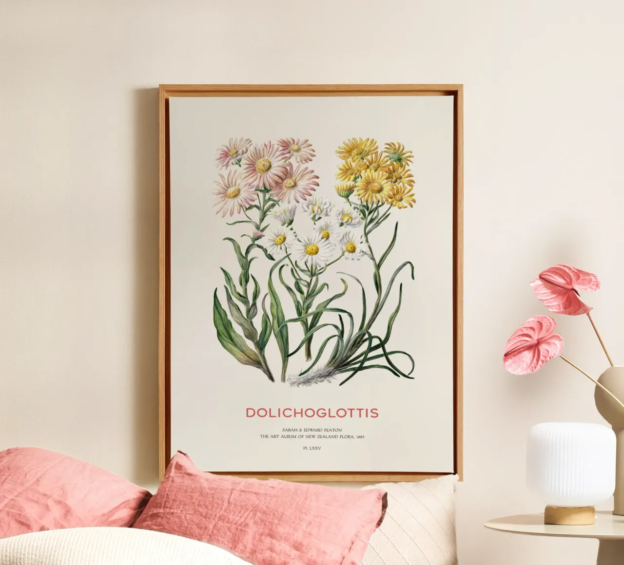 Dolichoglottis - Flowering plants in the daisy family canvas with Floater frame by Vintagrafica