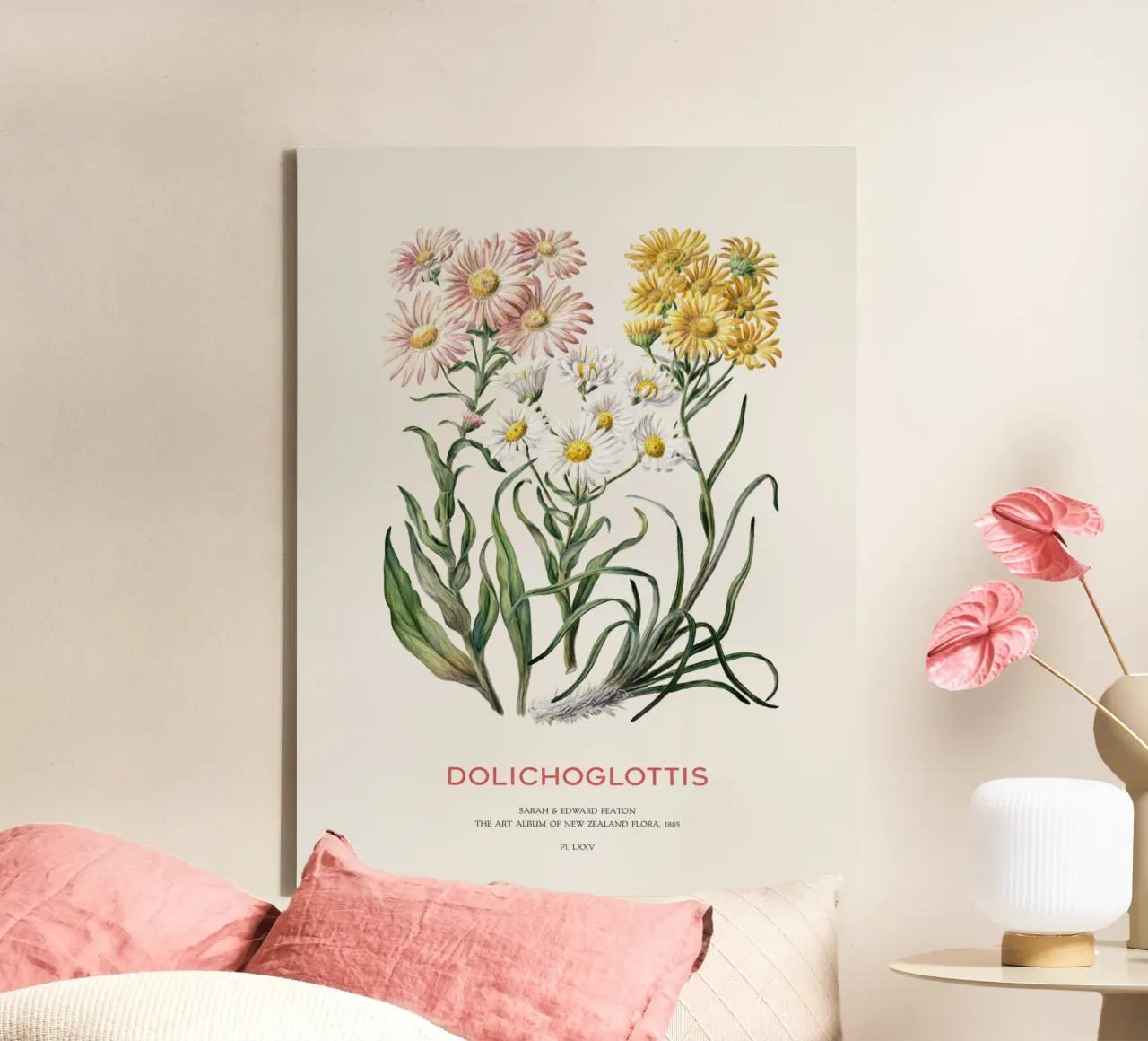 Dolichoglottis - Flowering plants in the daisy family canvas with Floater frame by Vintagrafica