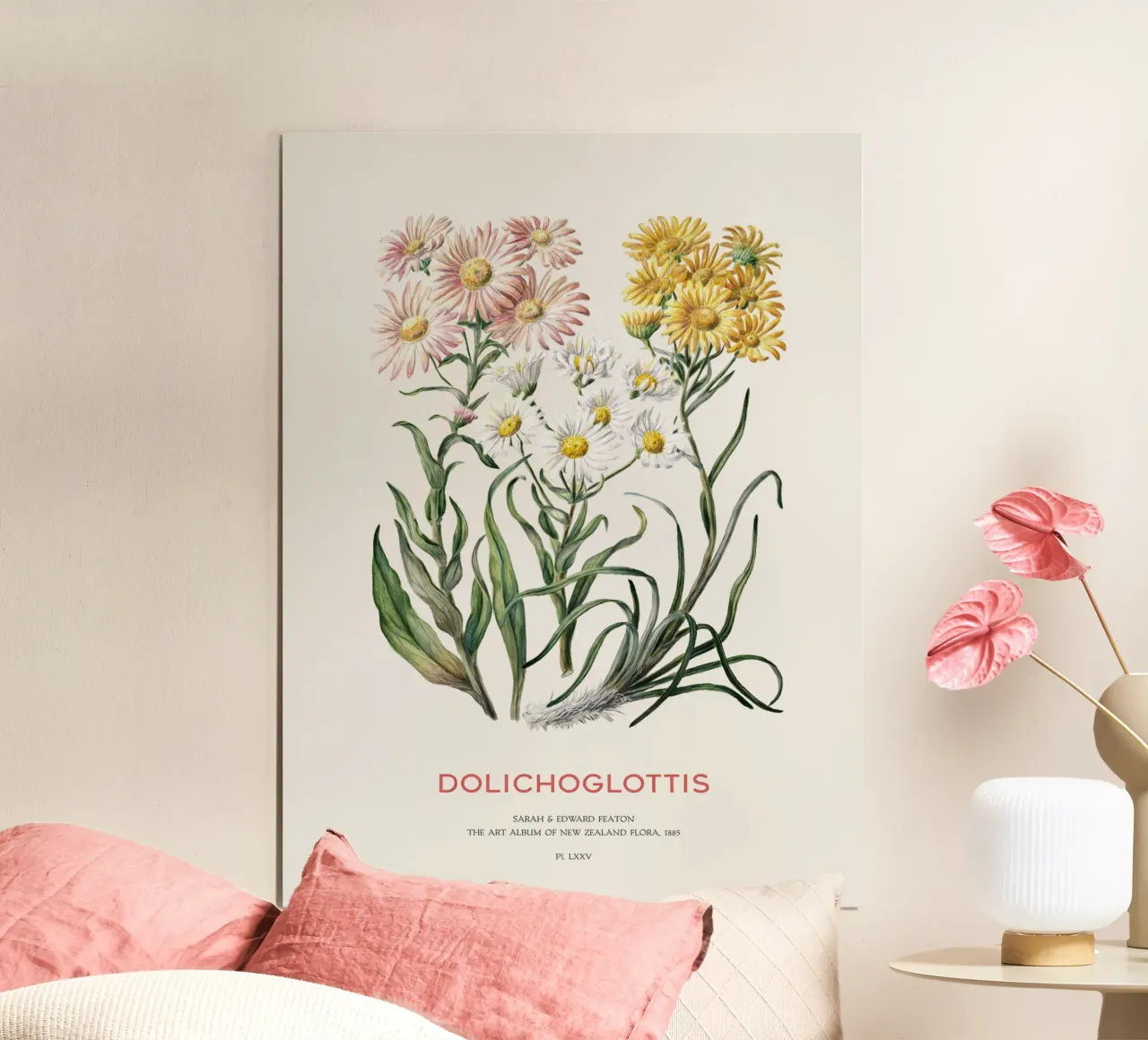 Dolichoglottis - Piante in fiore della famiglia delle margherite carta hahnemühle da Vintagrafica