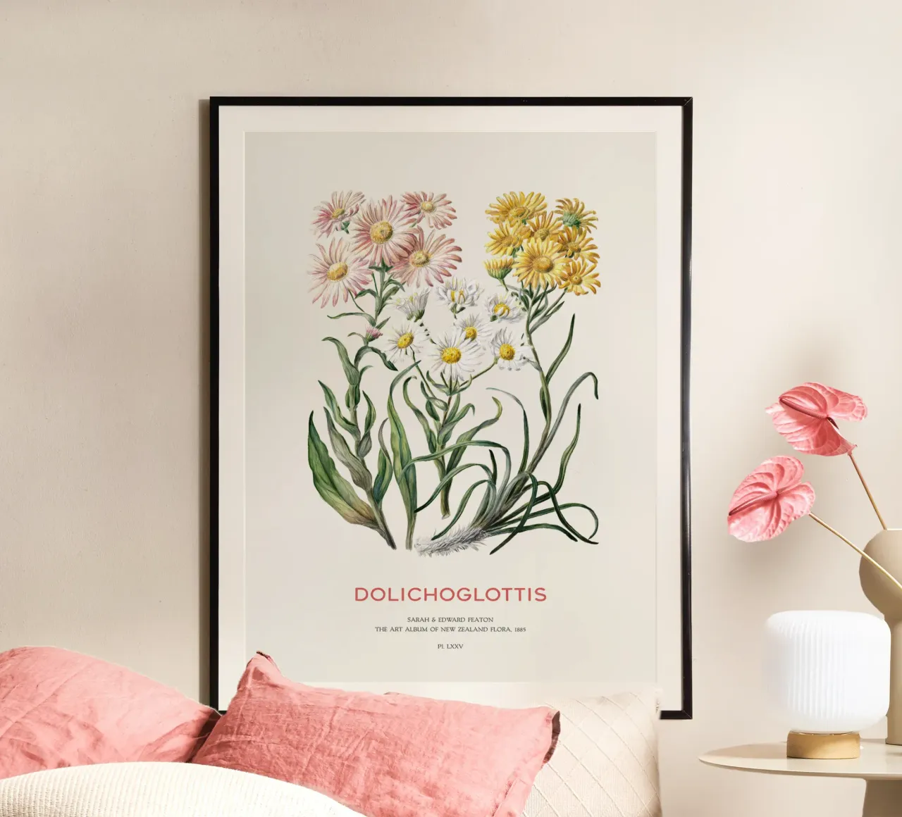 Dolichoglottis - Piante in fiore della famiglia delle margherite carta hahnemühle da Vintagrafica