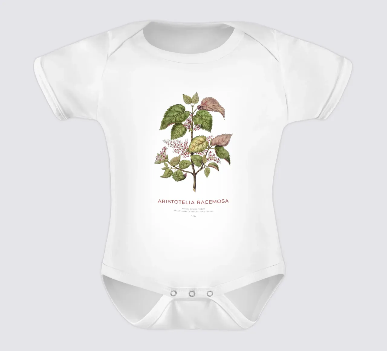 Uva di mare o Aristotelia racemosa body neonato maniche corte da Vintagrafica