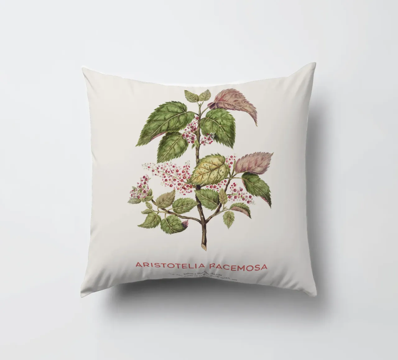 Uva di mare o Aristotelia racemosa cuscino da Vintagrafica
