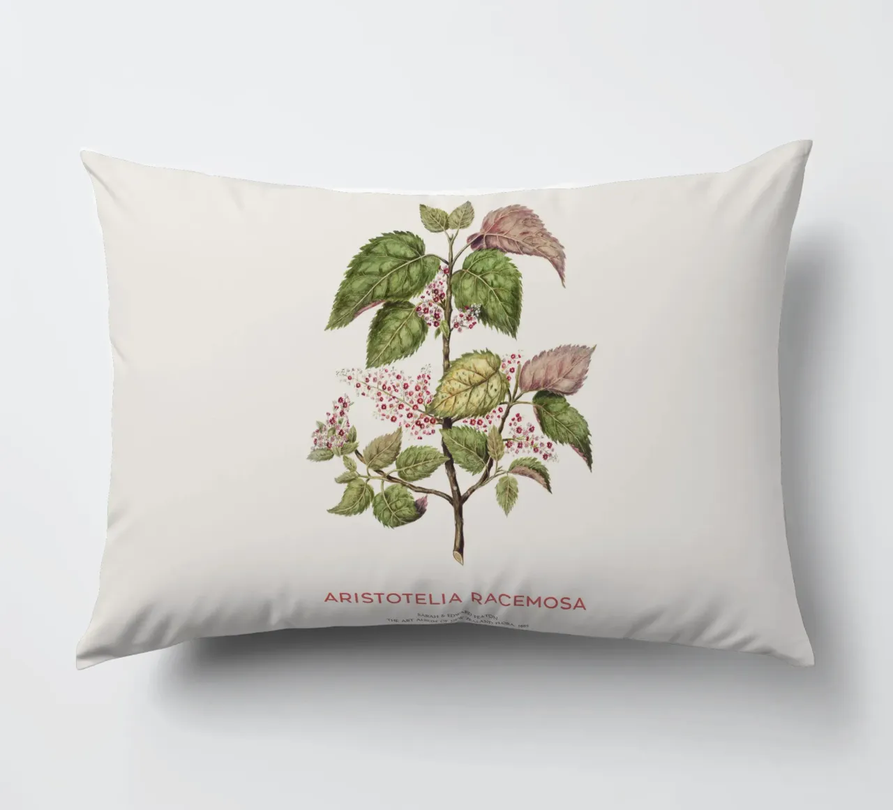 Uva di mare o Aristotelia racemosa cuscino da Vintagrafica
